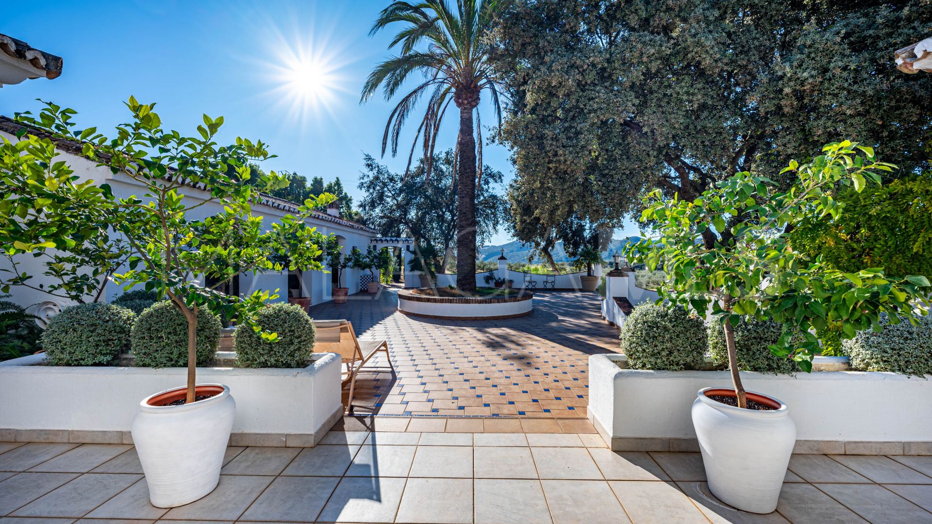 Cortijo for sale in Ronda