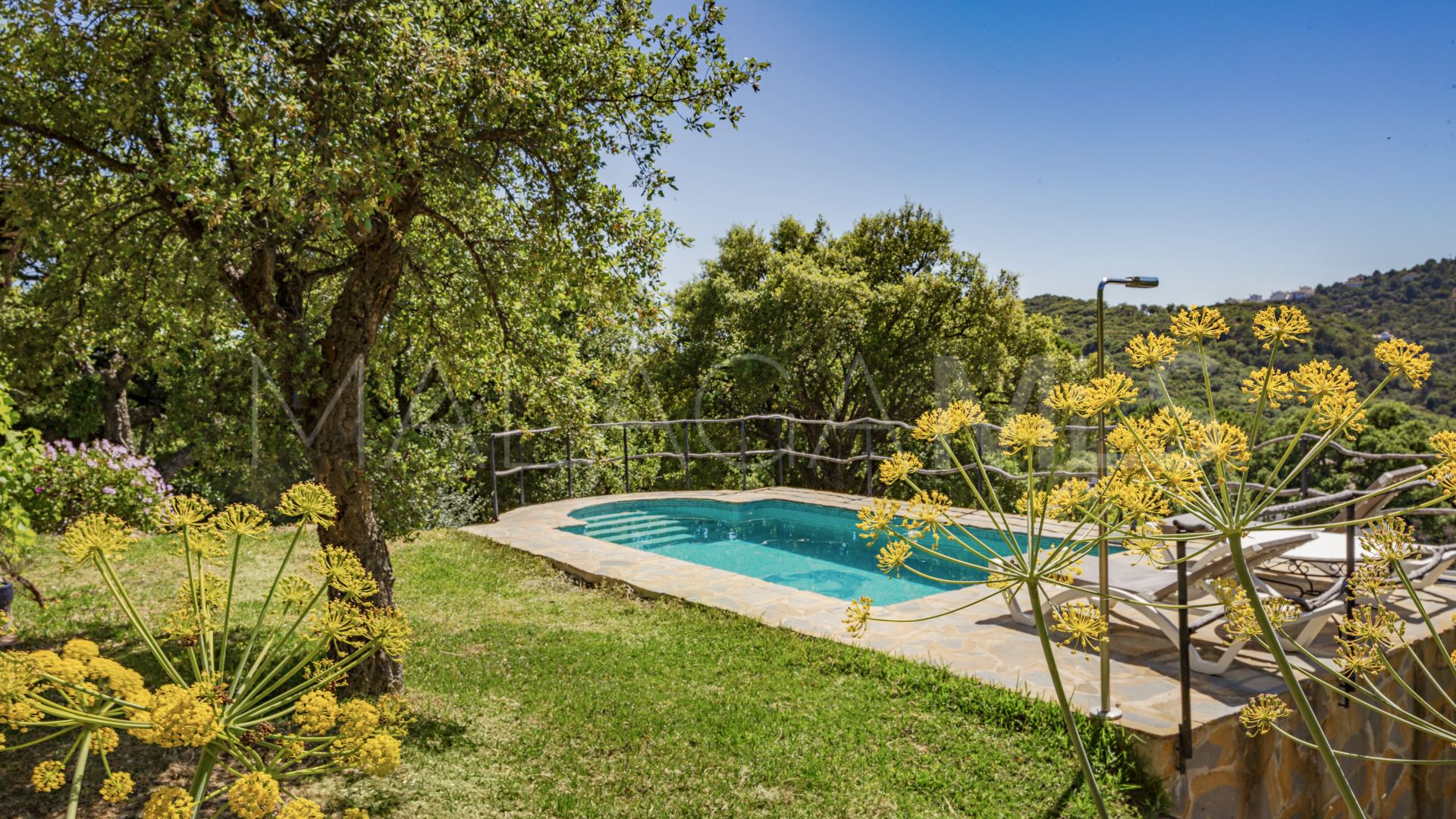 For sale Casares 4 bedrooms country house