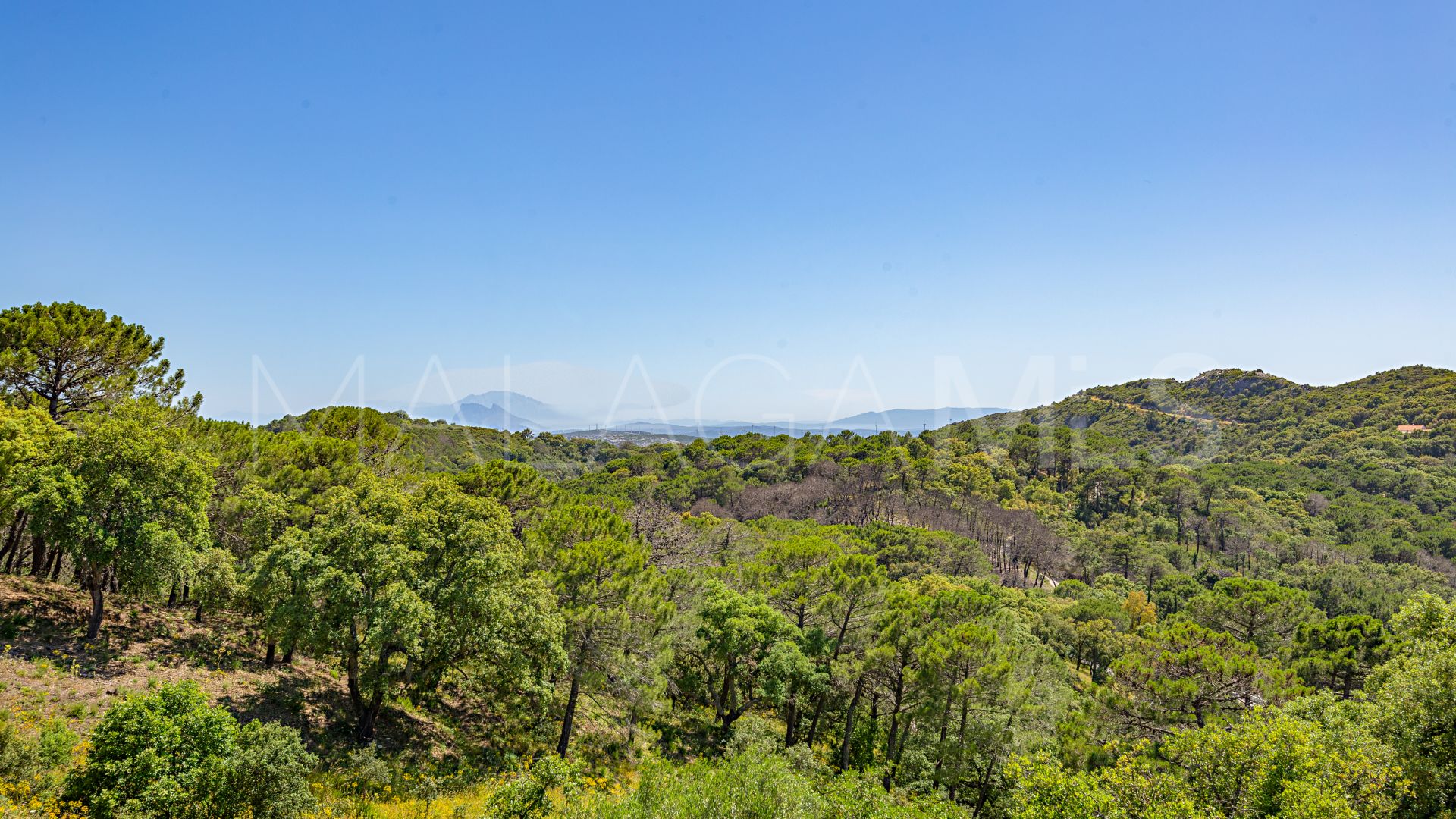 For sale Casares 4 bedrooms country house