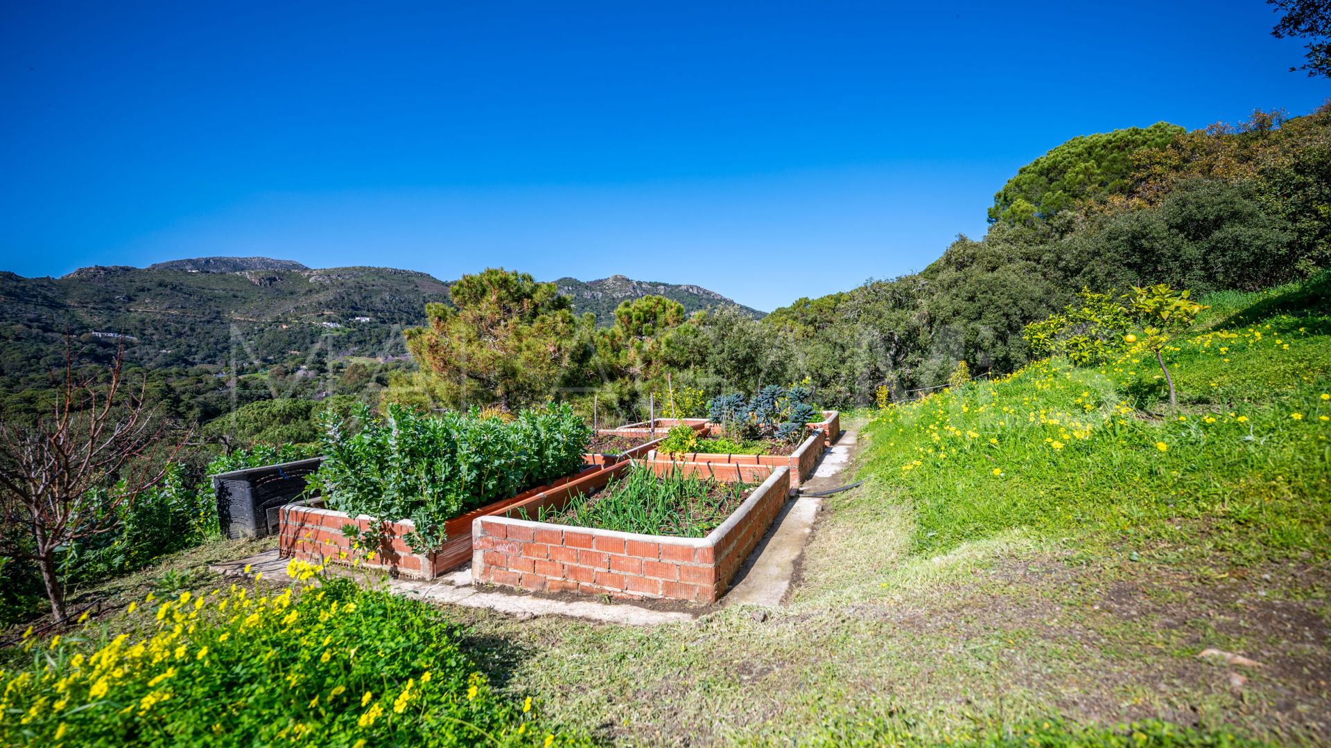 For sale Casares 4 bedrooms country house