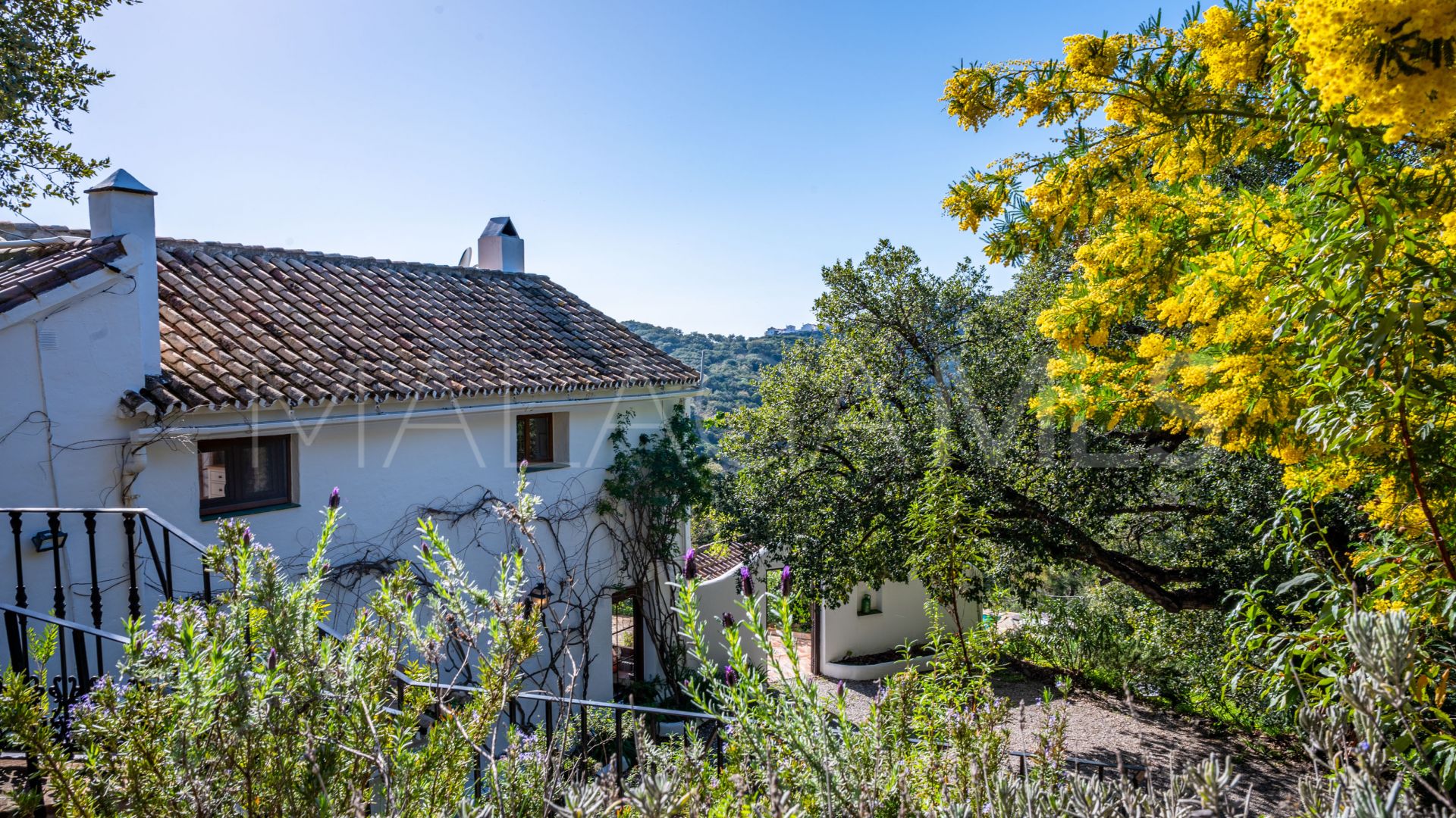 For sale Casares 4 bedrooms country house