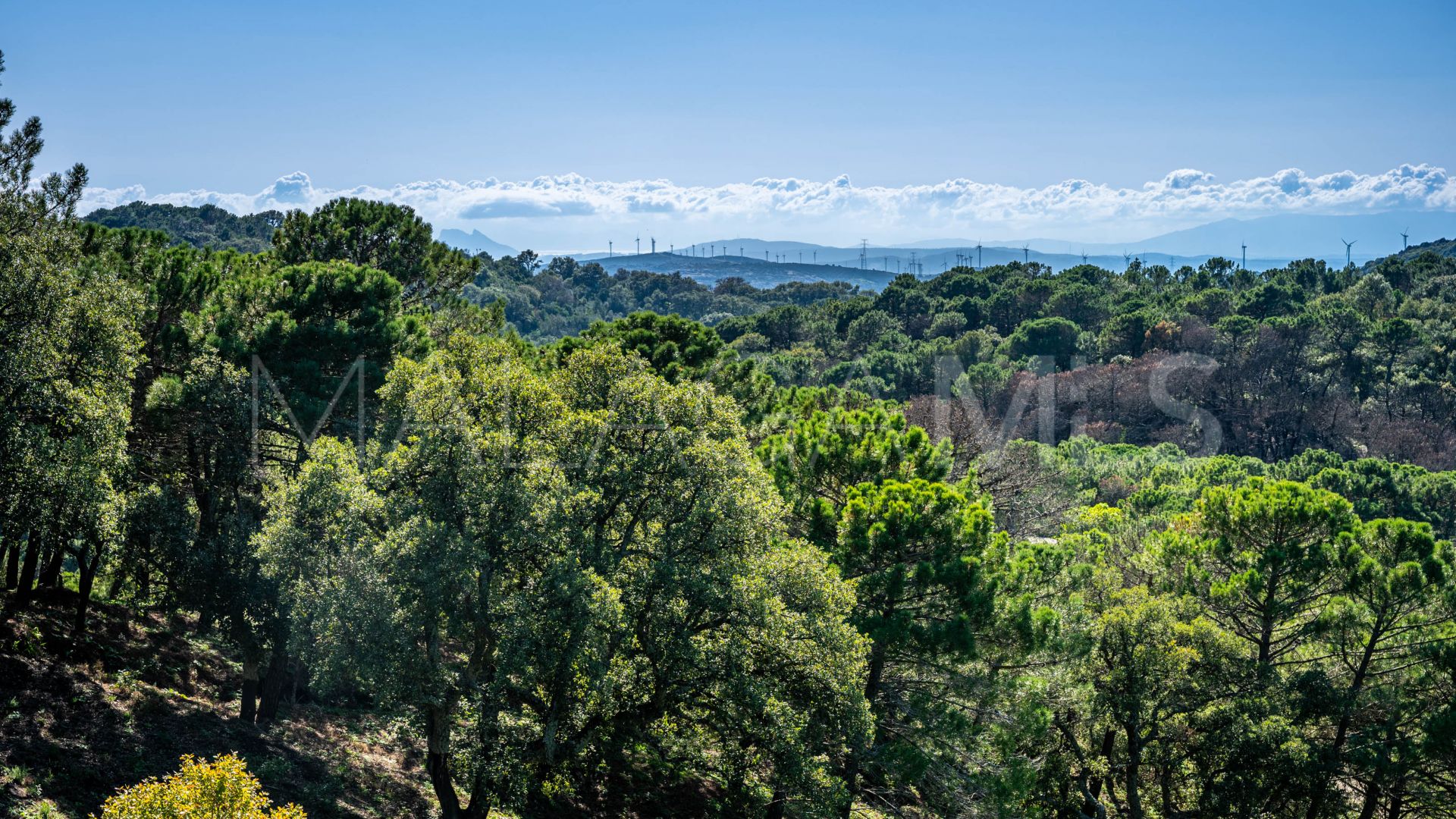 For sale Casares 4 bedrooms country house
