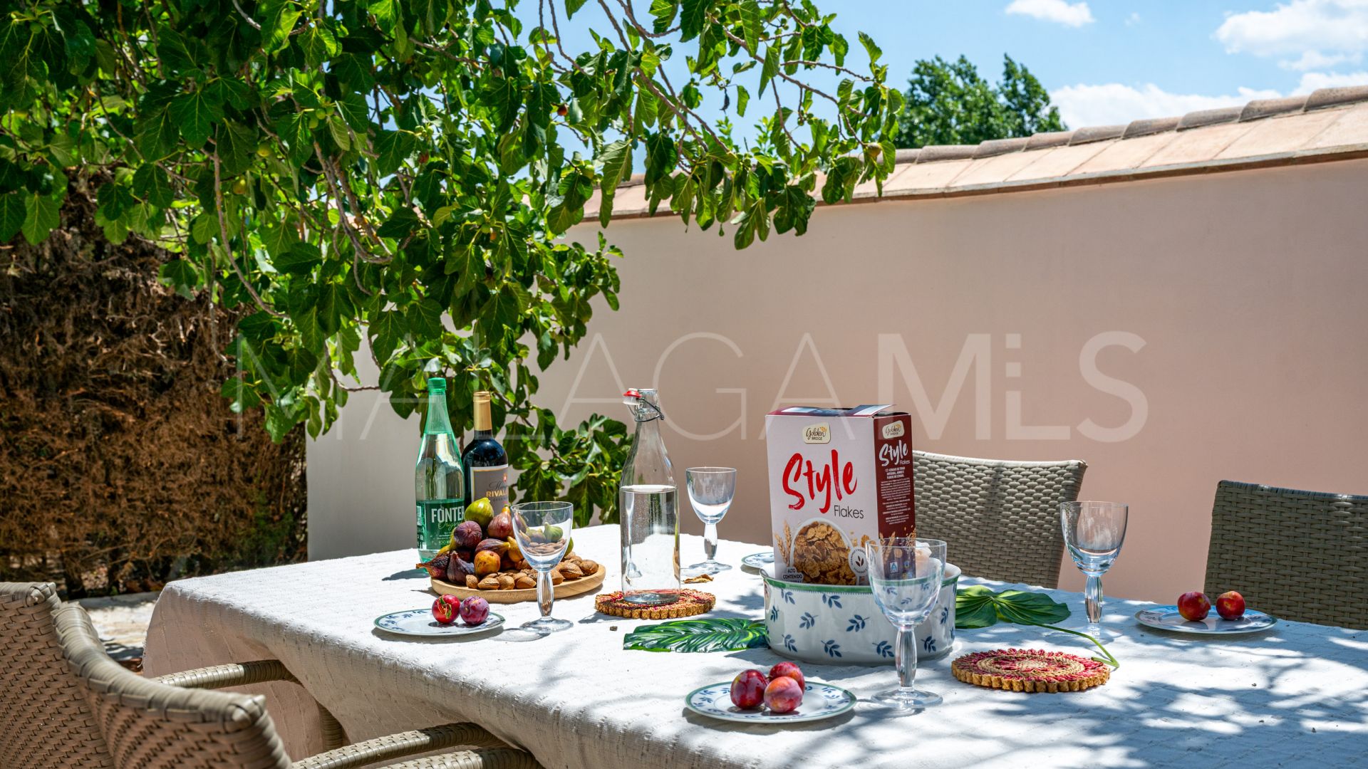 For sale Ronda finca with 4 bedrooms
