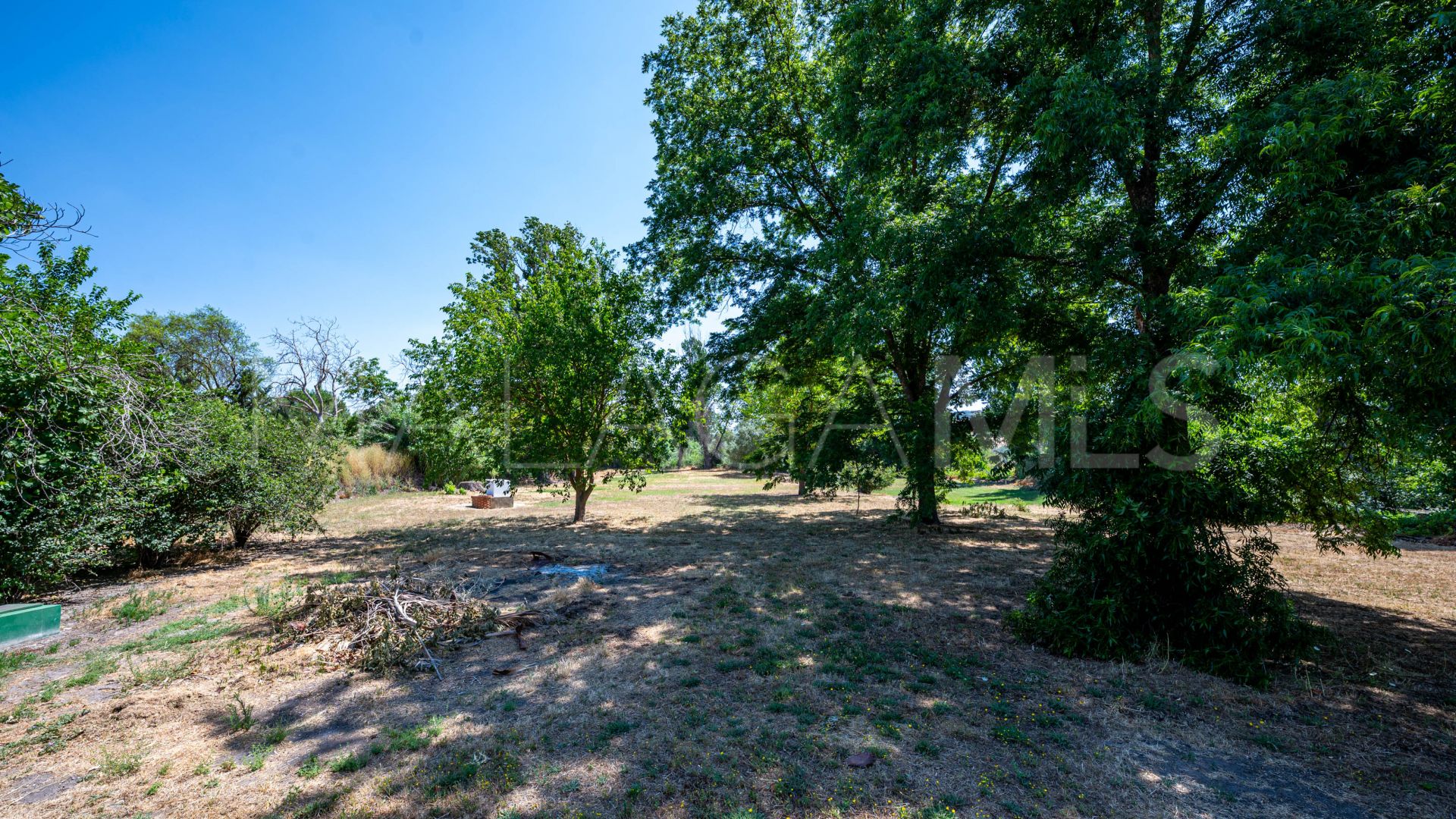 For sale Ronda finca with 4 bedrooms