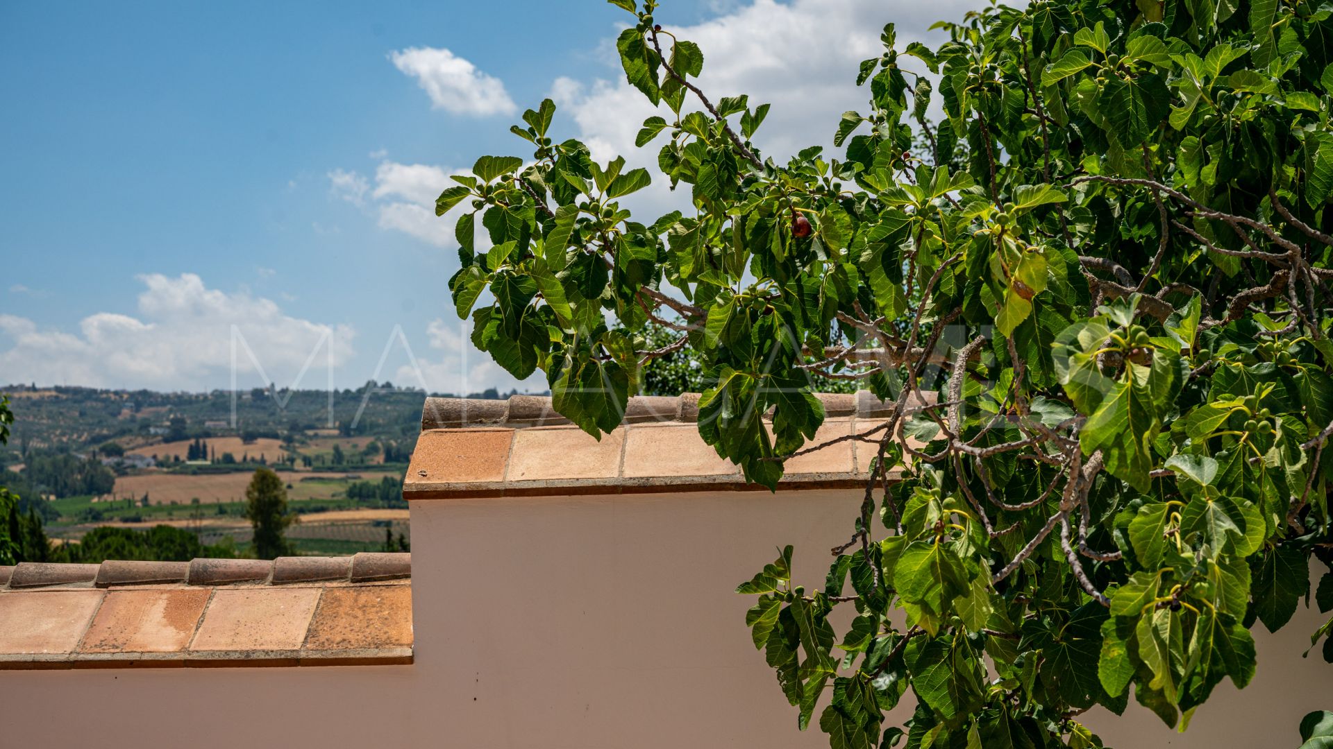For sale Ronda finca with 4 bedrooms