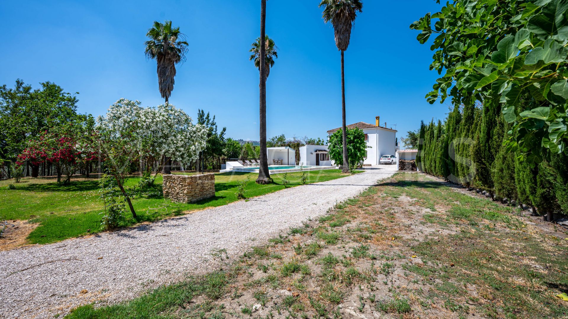 For sale Ronda finca with 4 bedrooms