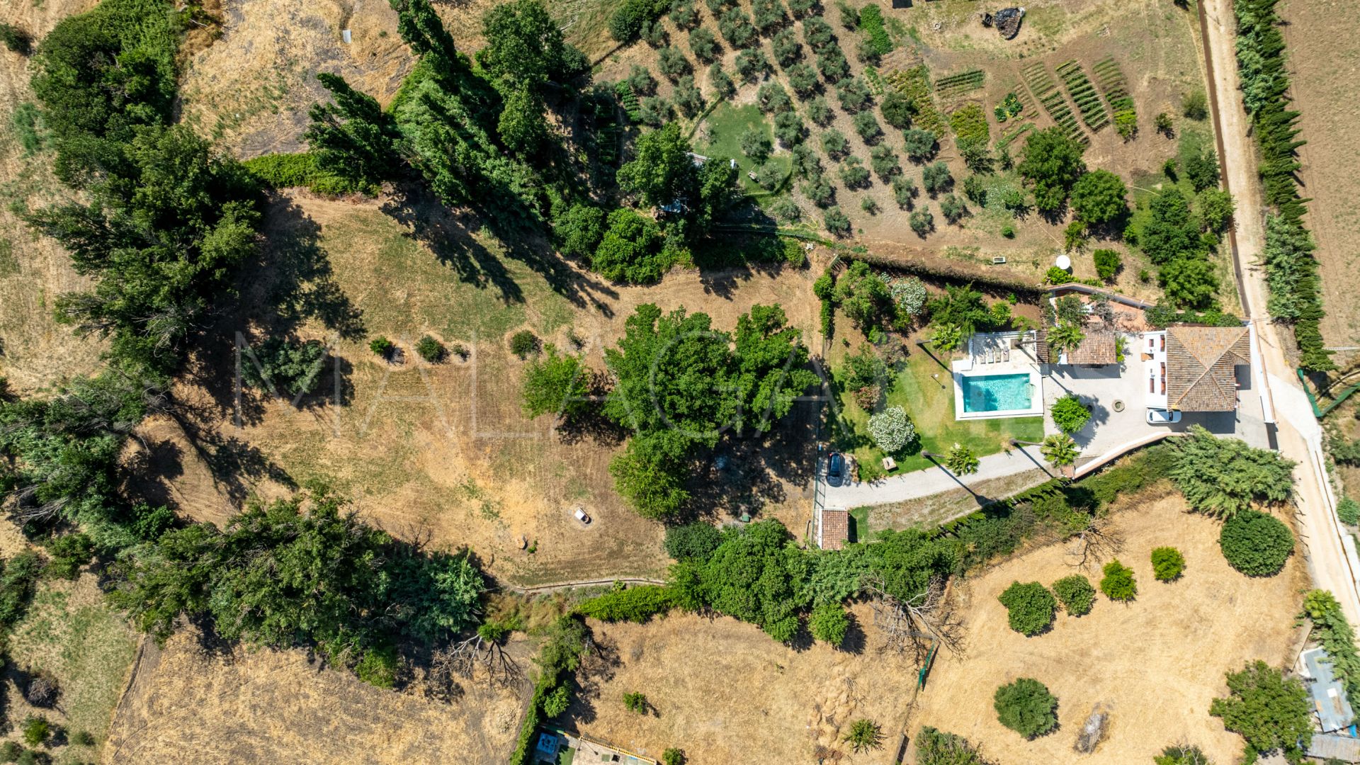 For sale Ronda finca with 4 bedrooms
