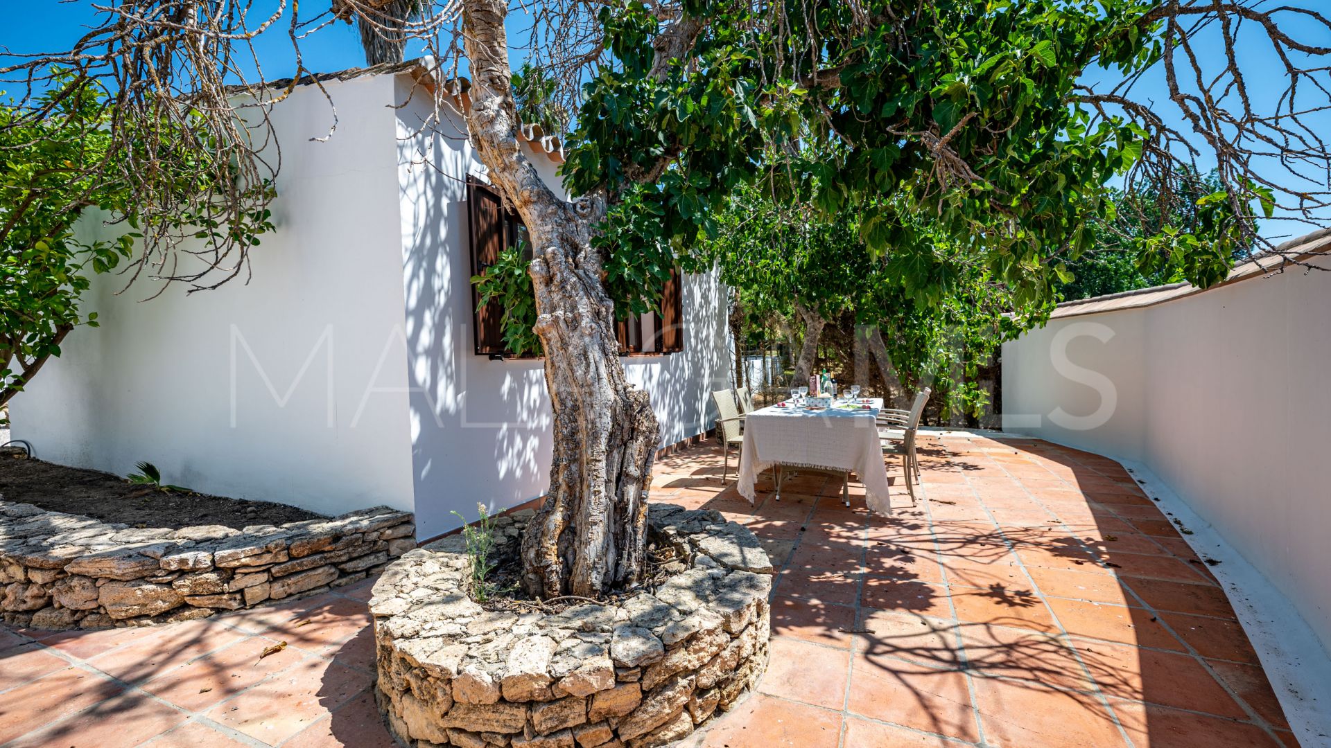 For sale Ronda finca with 4 bedrooms