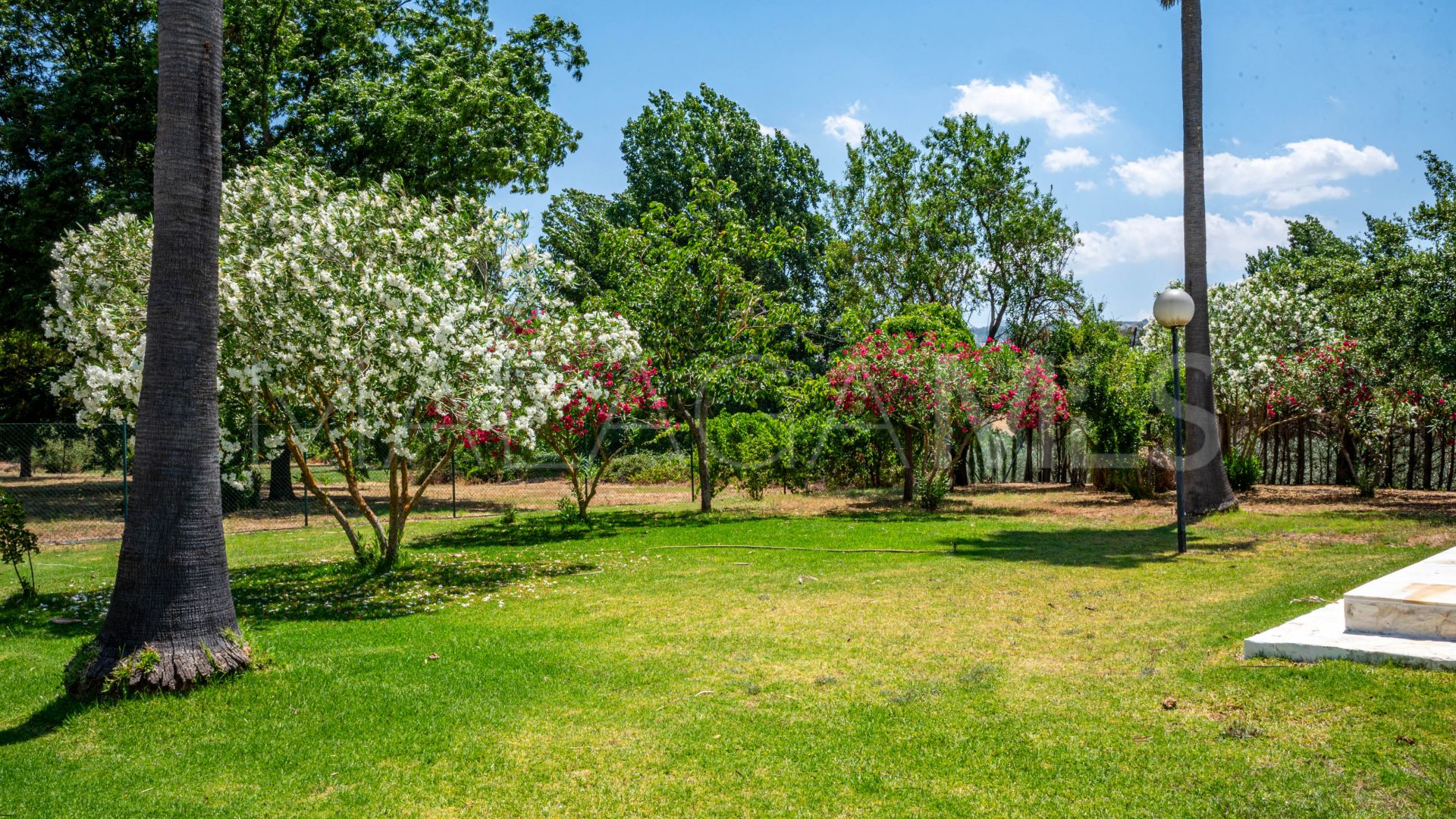 For sale Ronda finca with 4 bedrooms