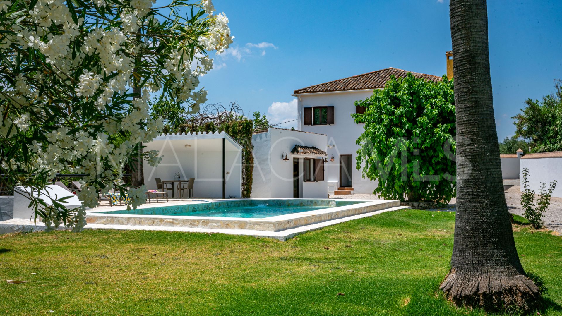 For sale Ronda finca with 4 bedrooms