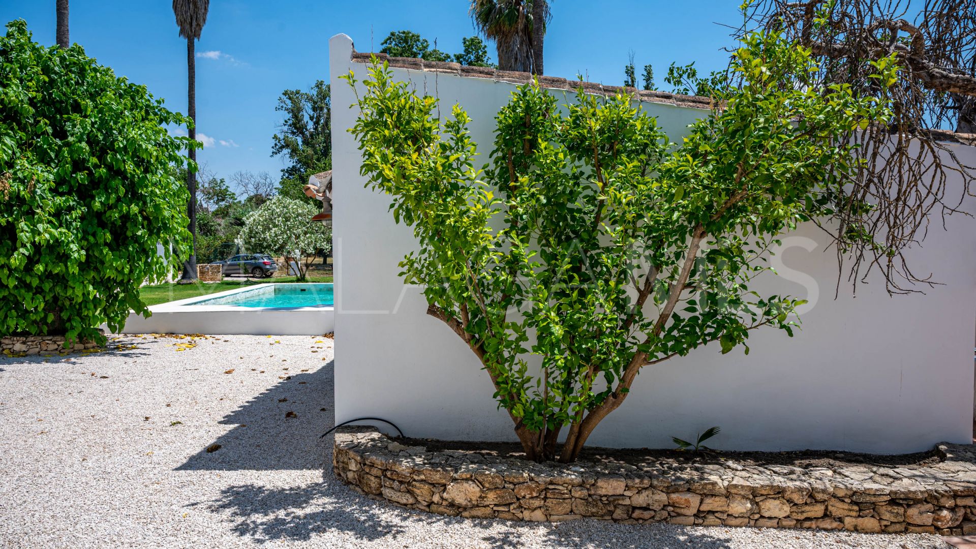 For sale Ronda finca with 4 bedrooms