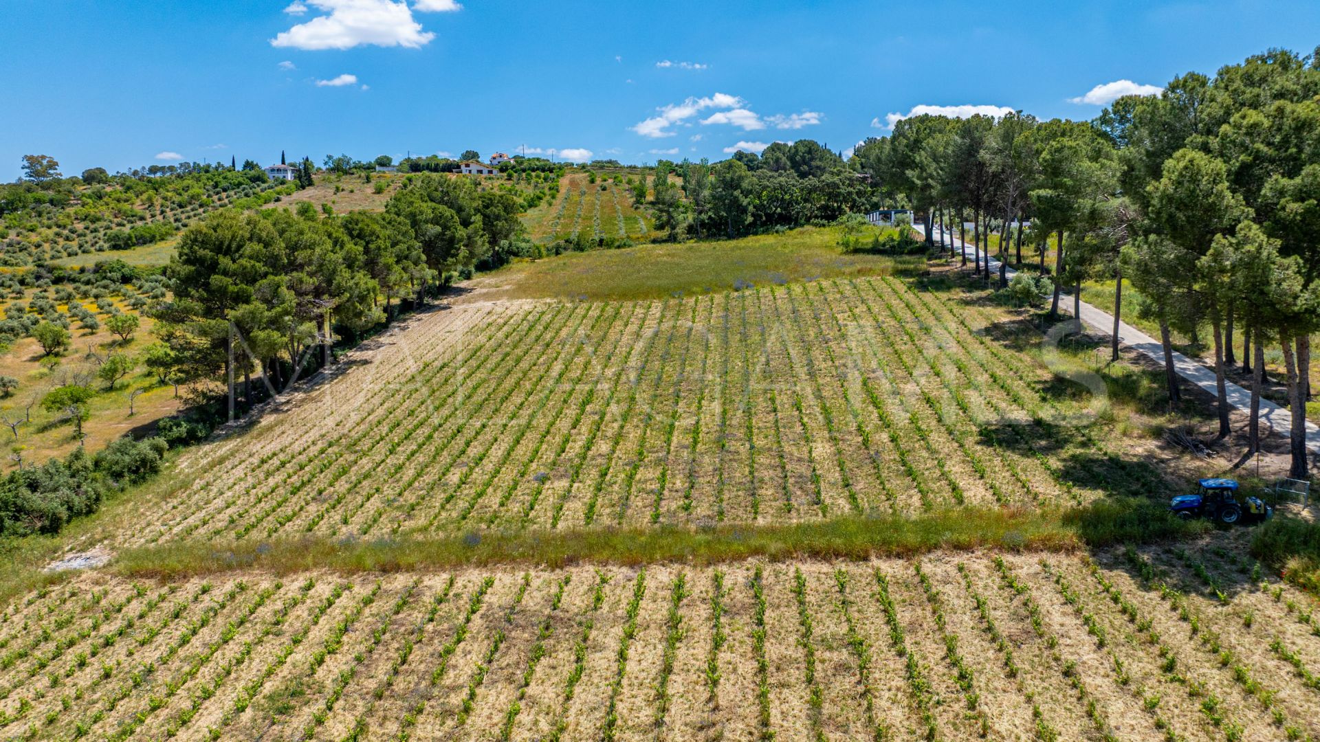 For sale cortijo in Ronda