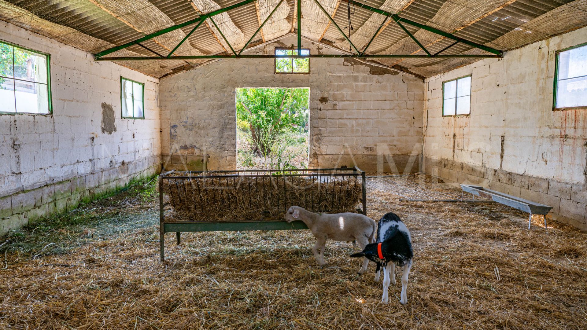 For sale cortijo in Ronda