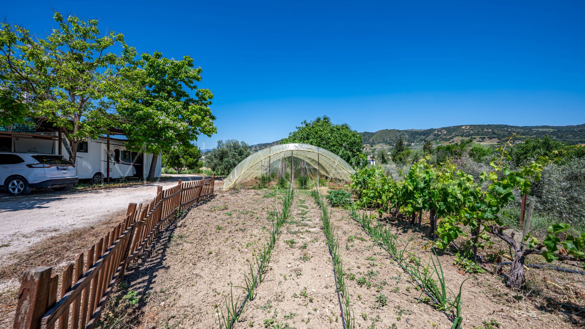 Buy country house in Ronda