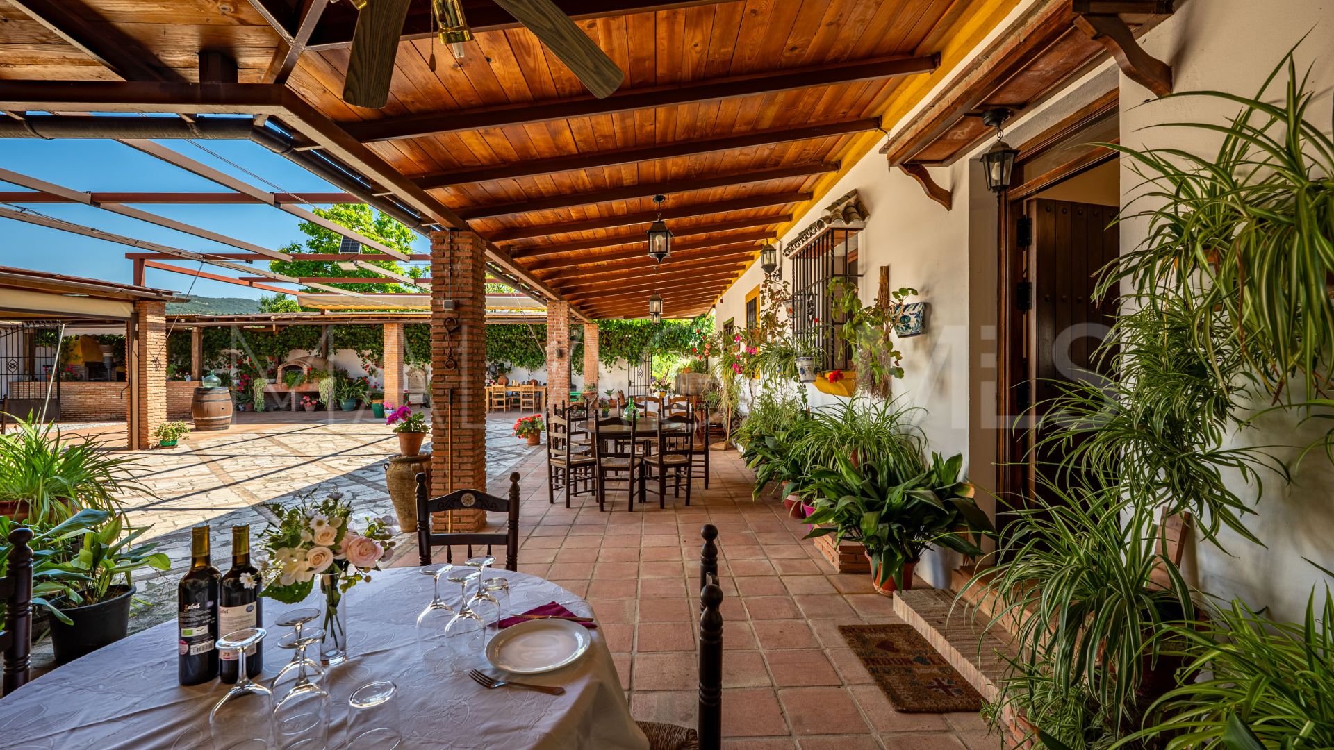 Buy country house in Ronda