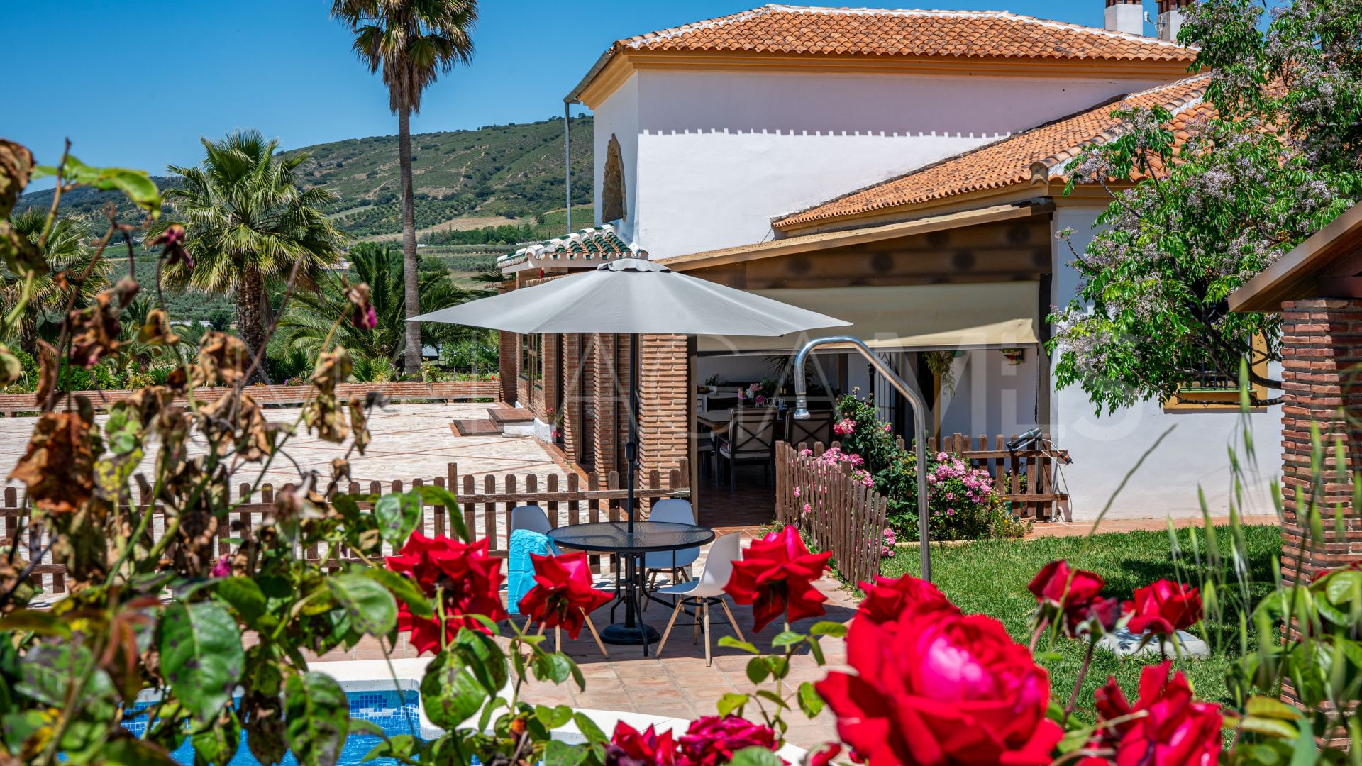 Buy country house in Ronda