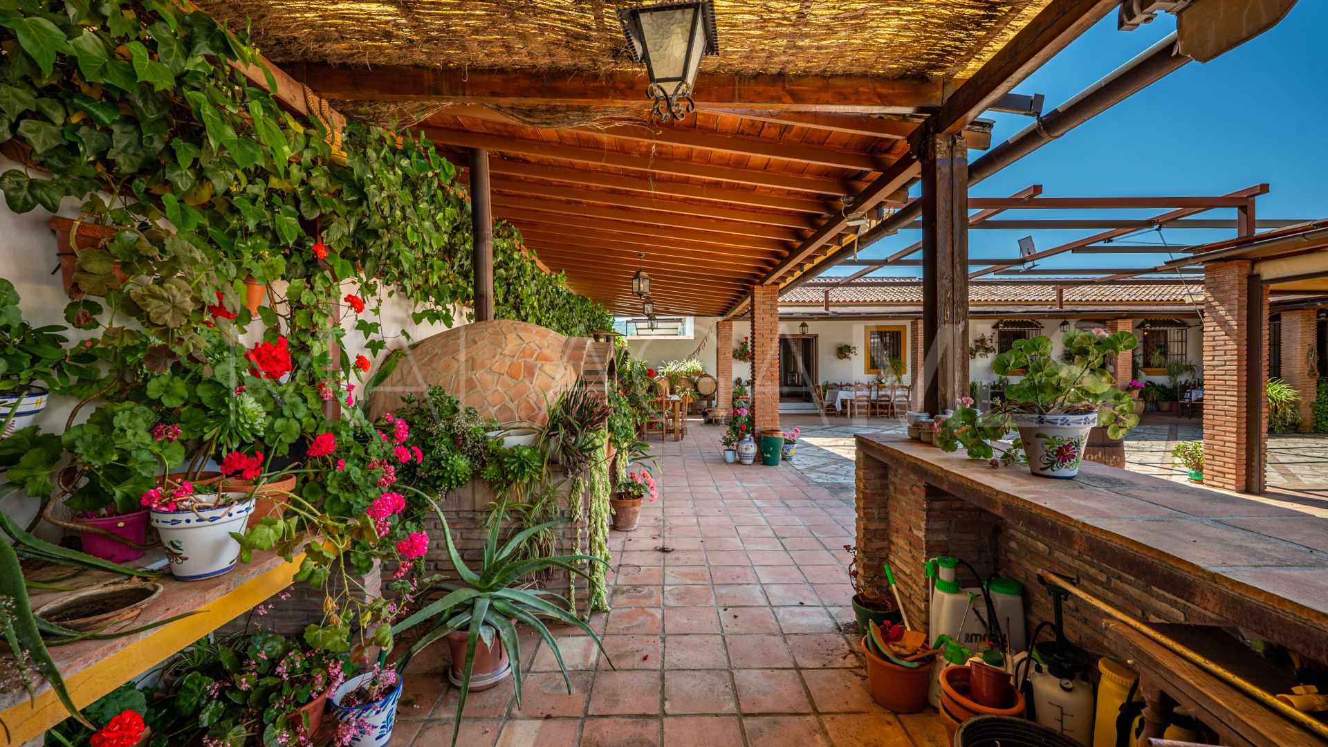 Buy country house in Ronda