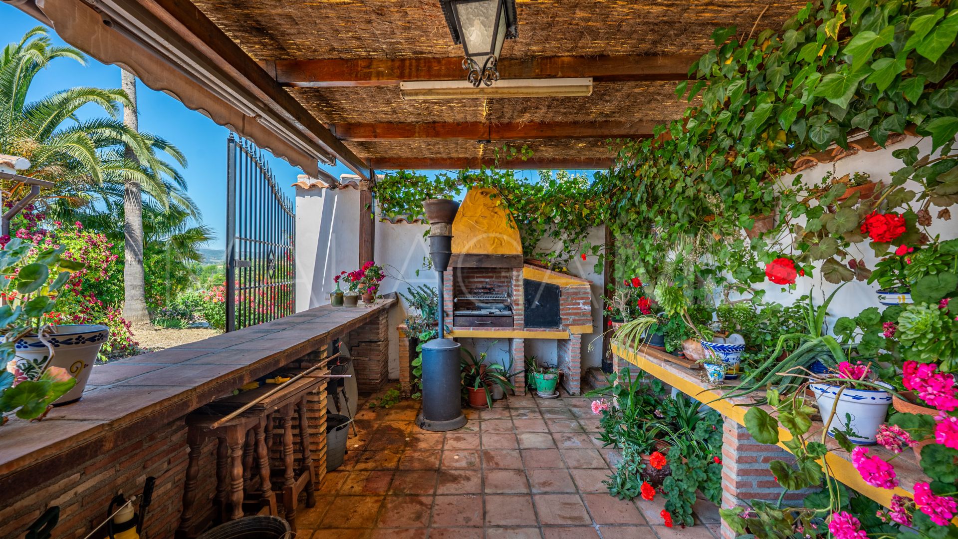 Buy country house in Ronda