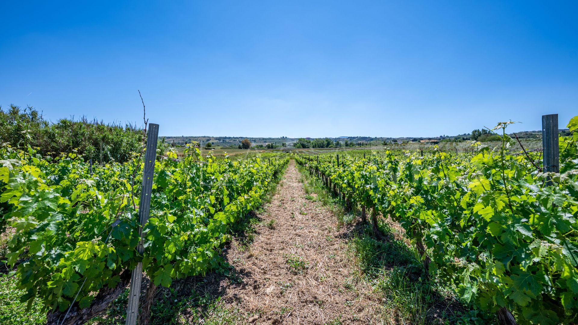 Buy country house in Ronda