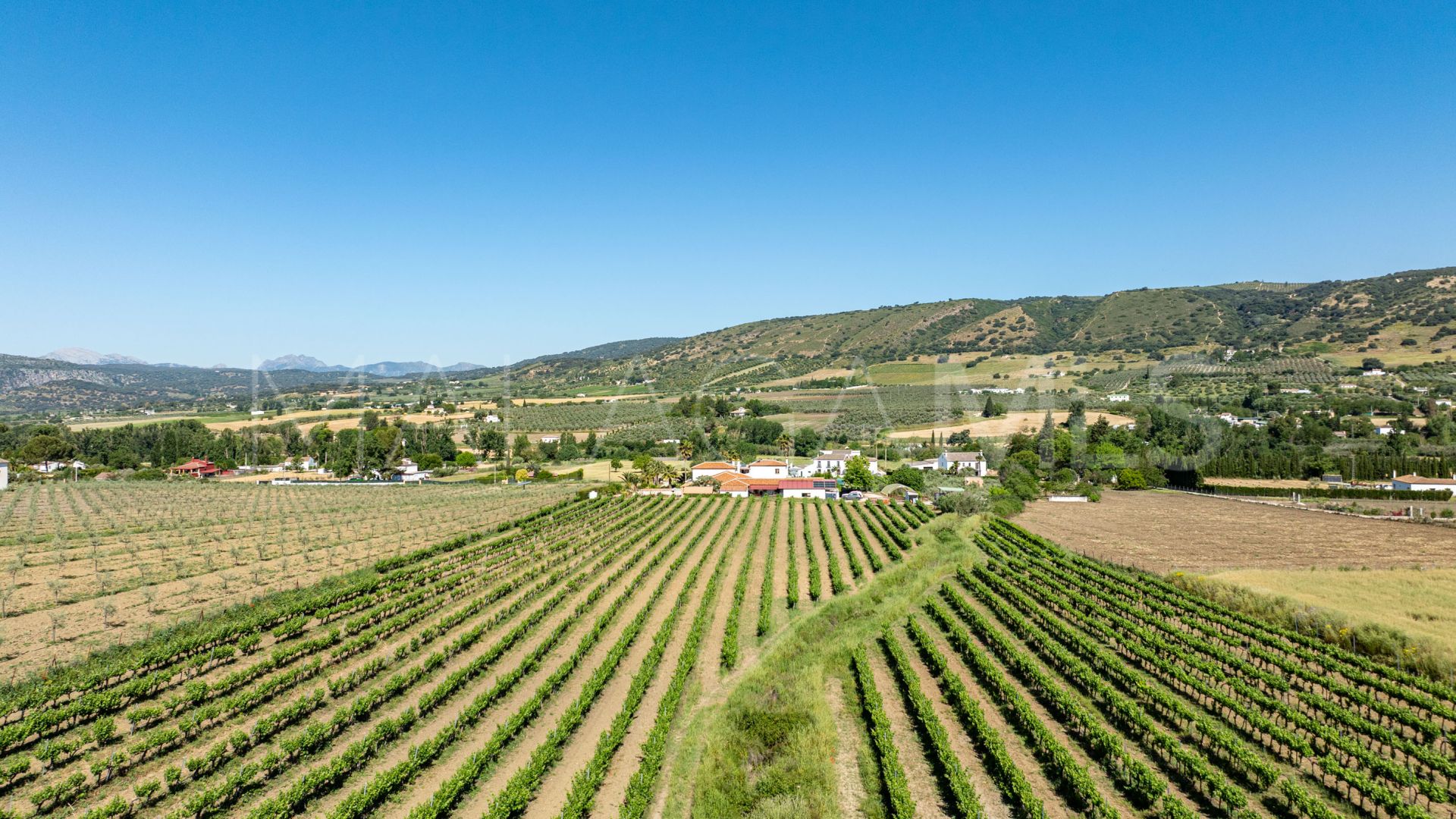 Buy country house in Ronda