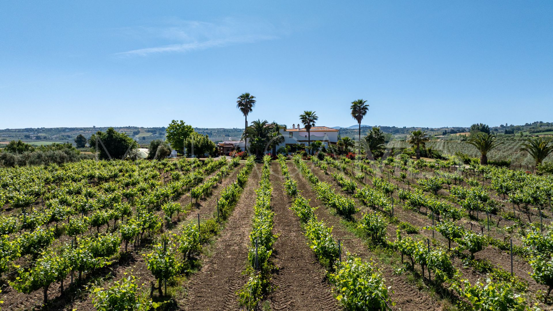 Buy country house in Ronda