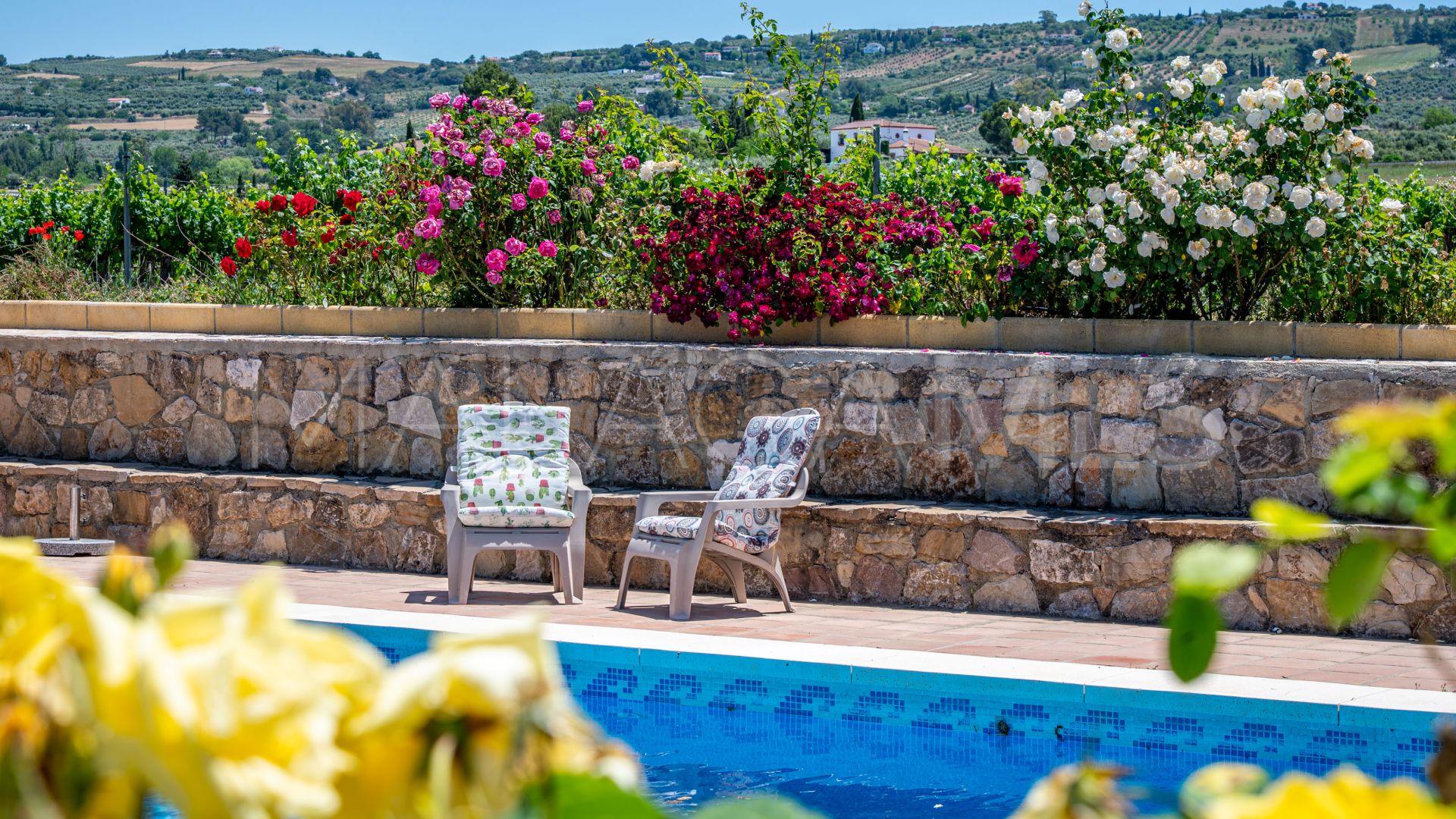 Buy country house in Ronda