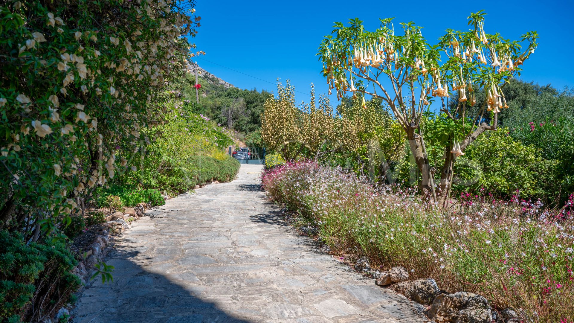 Country house for sale in Casares