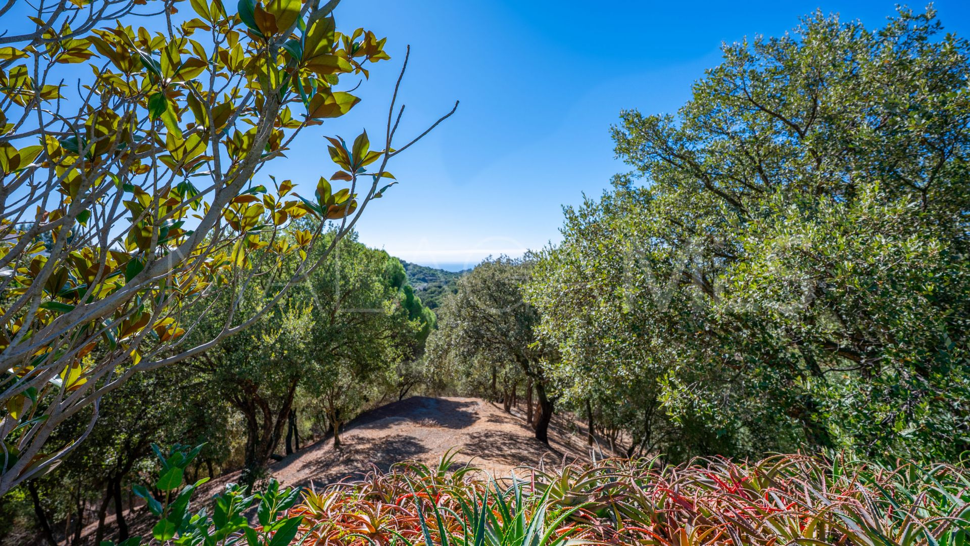 Country house for sale in Casares