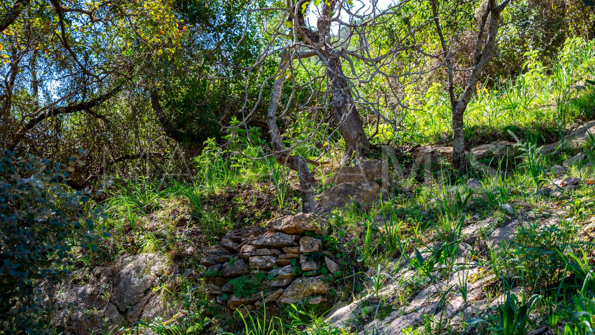 Hus på landet for sale in Casares