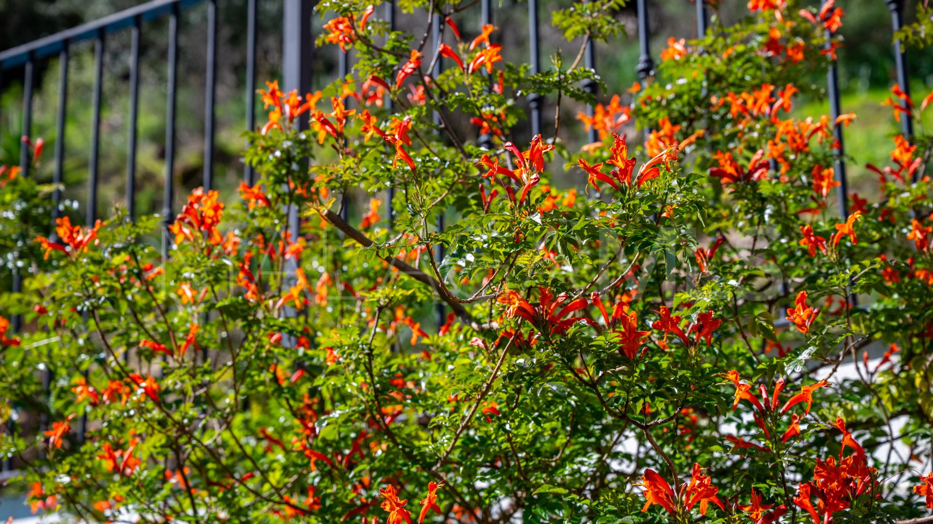 Hus på landet for sale in Casares