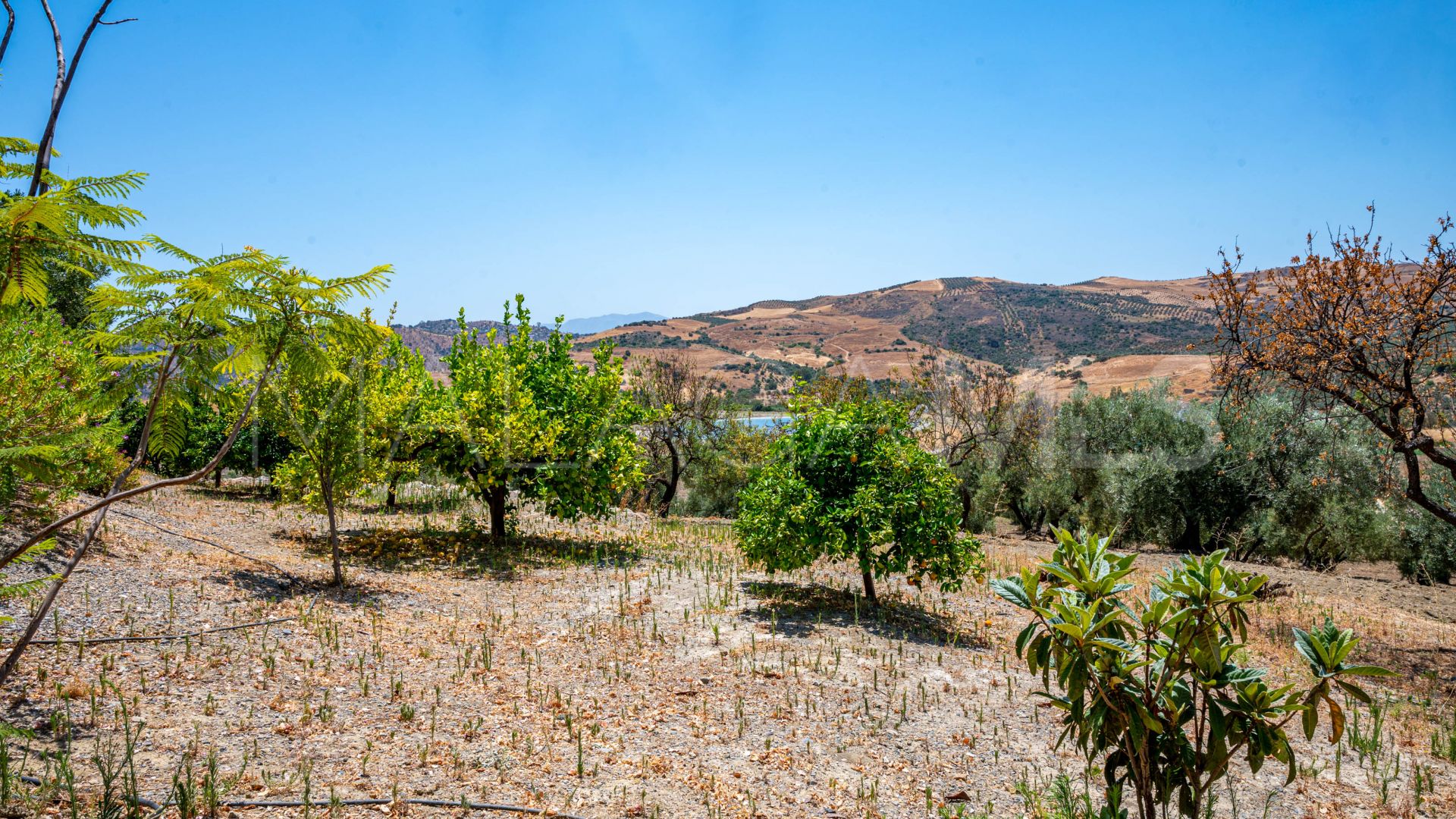 Landhaus for sale in Casarabonela