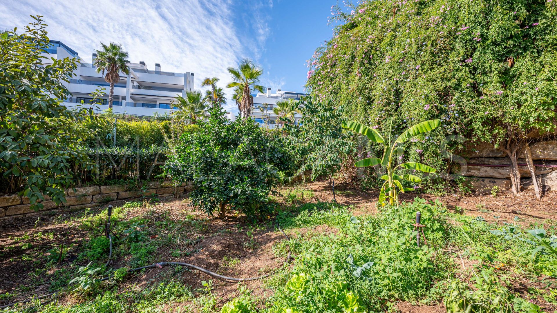 Landhaus for sale in Los Reales - Sierra Estepona