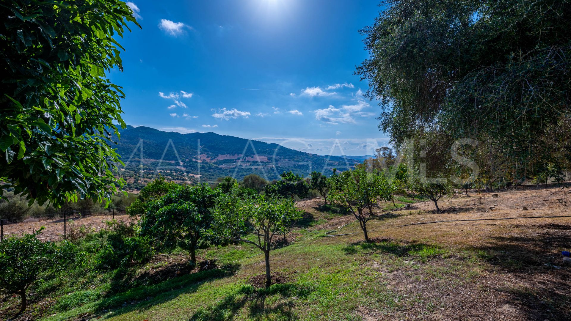 Gaucin 5 bedrooms country house for sale