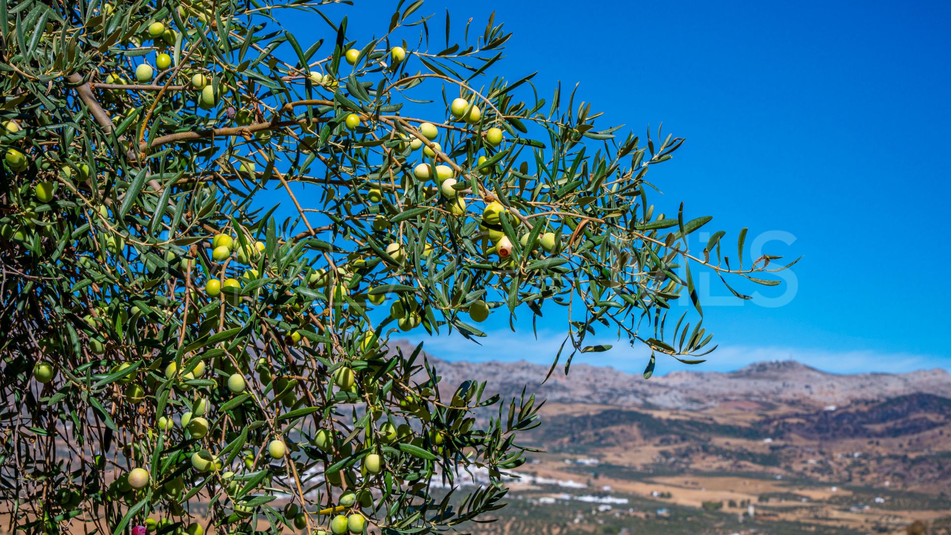 Villanueva de la Concepción 4 bedrooms country house for sale