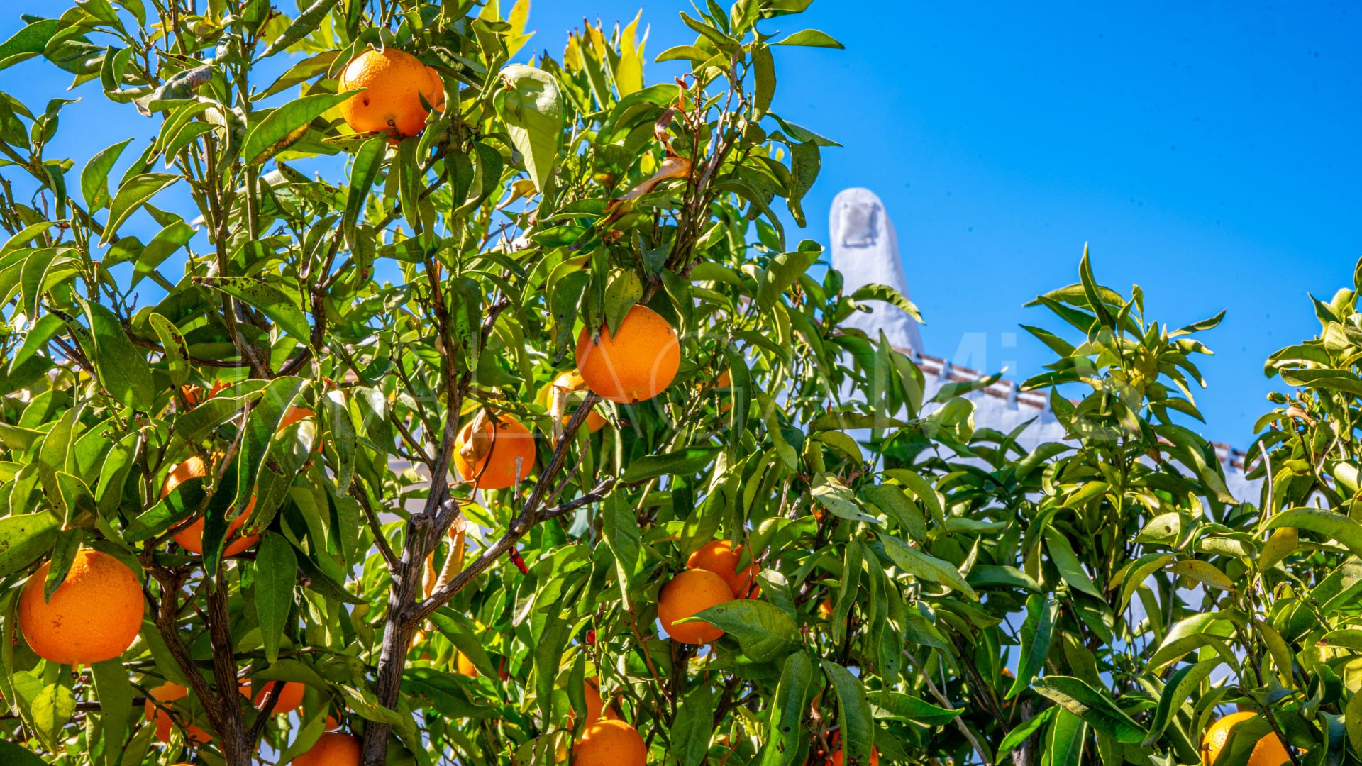 Villanueva de la Concepción 4 bedrooms country house for sale