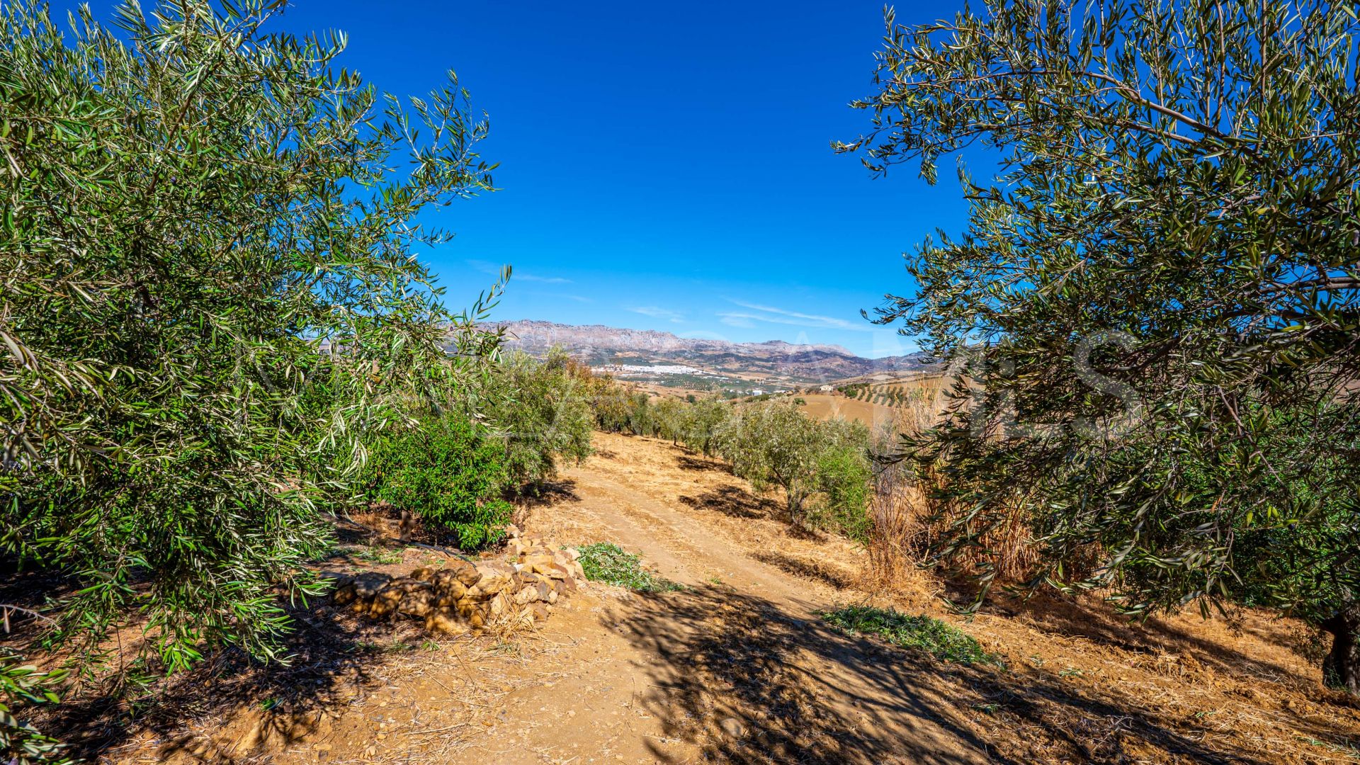 Villanueva de la Concepción 4 bedrooms country house for sale