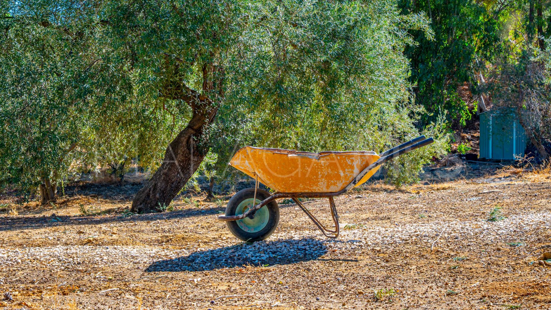 Villanueva de la Concepción 4 bedrooms country house for sale