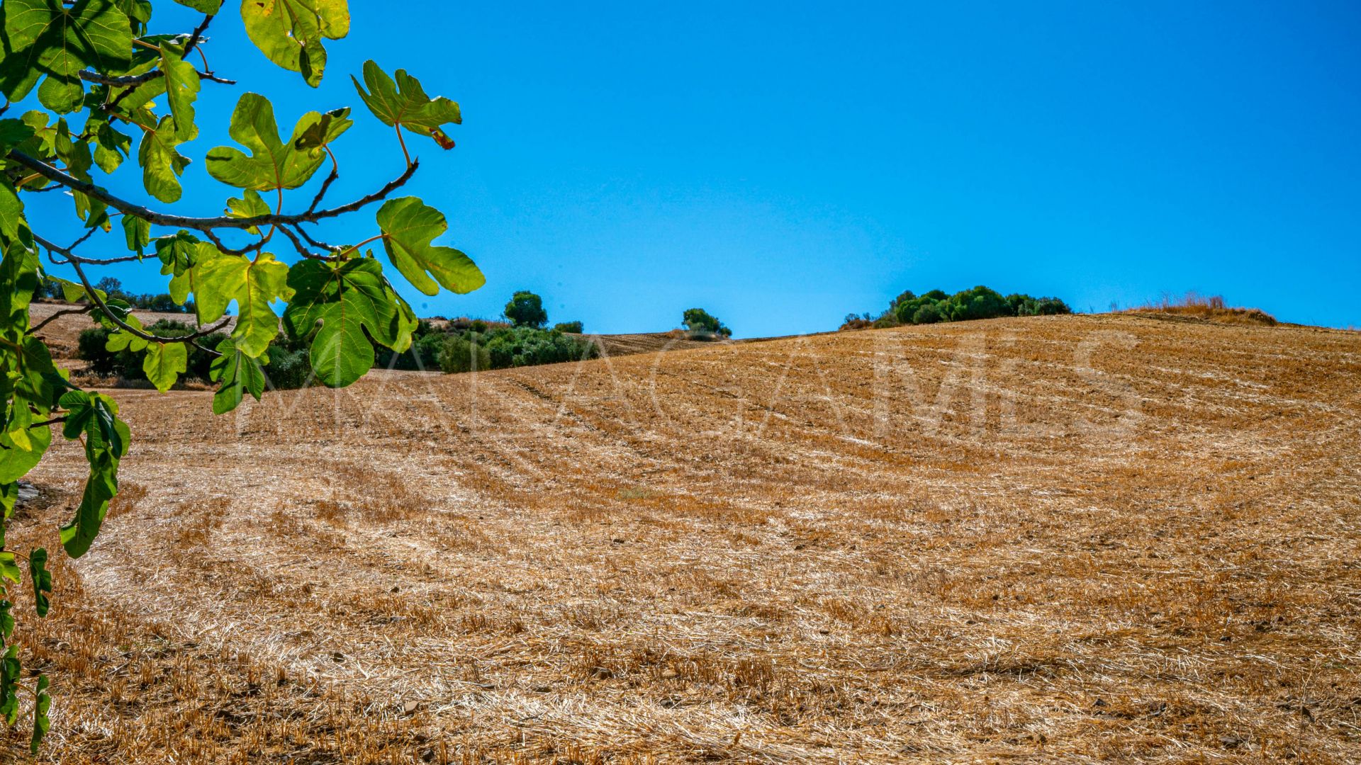 Villanueva de la Concepción 4 bedrooms country house for sale