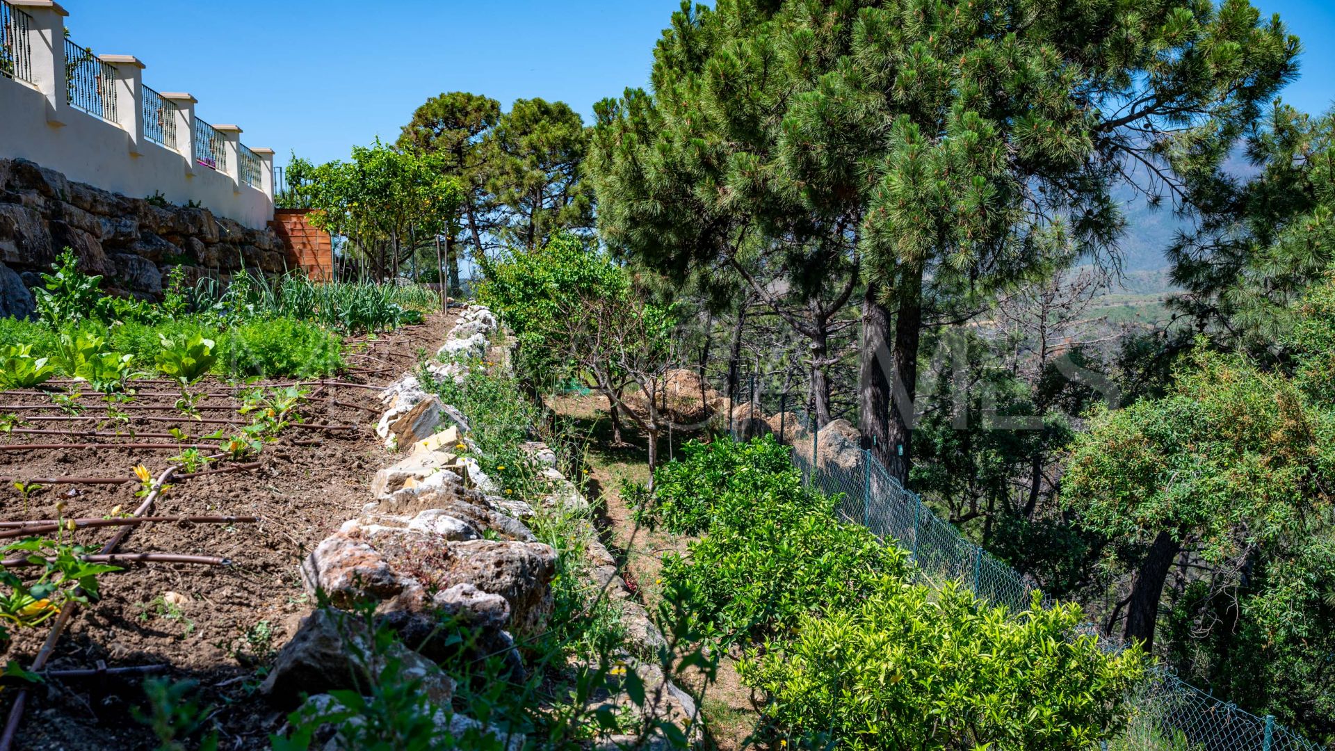 Hus på landet for sale in Estepona