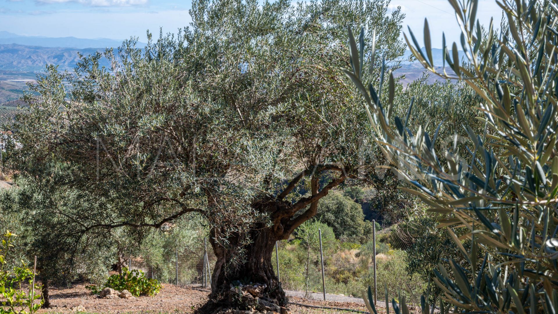 Casarabonela, casa de campo a la venta