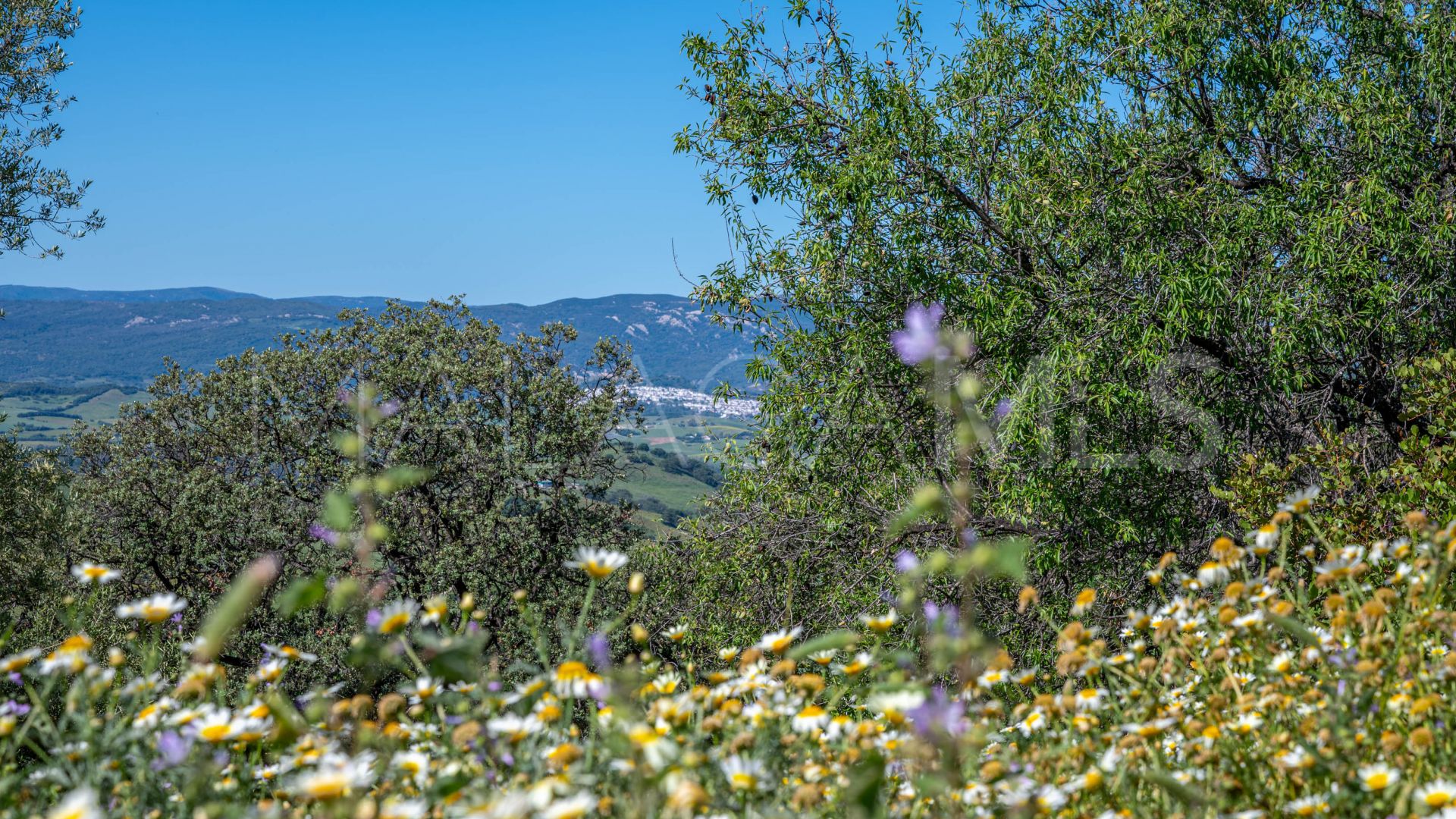 Hus på landet for sale in Gaucin