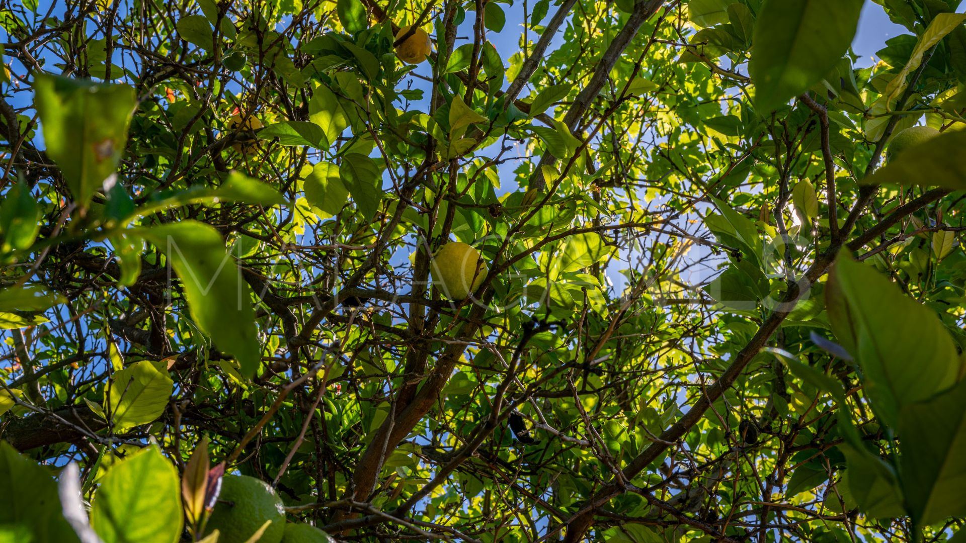 Hus på landet for sale in Gaucin