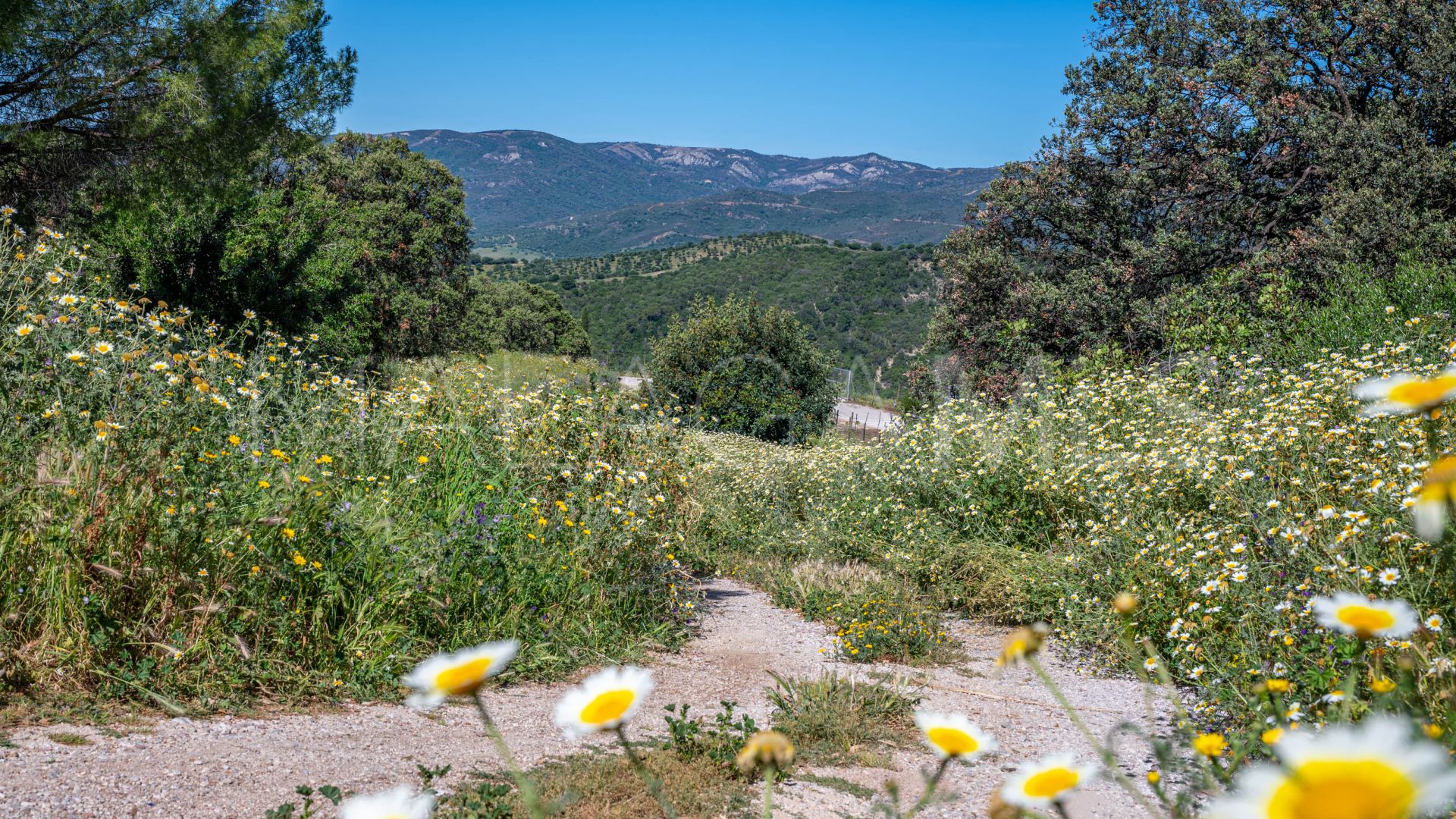 Hus på landet for sale in Gaucin
