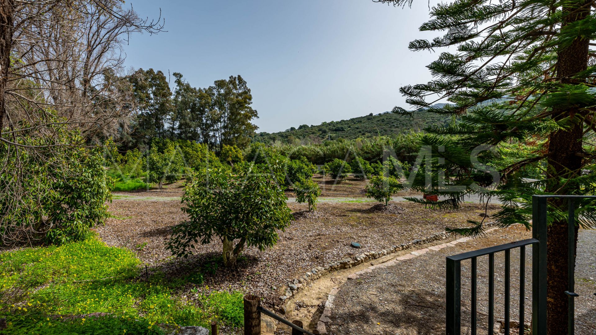 Bauernhaus for sale in Gaucin