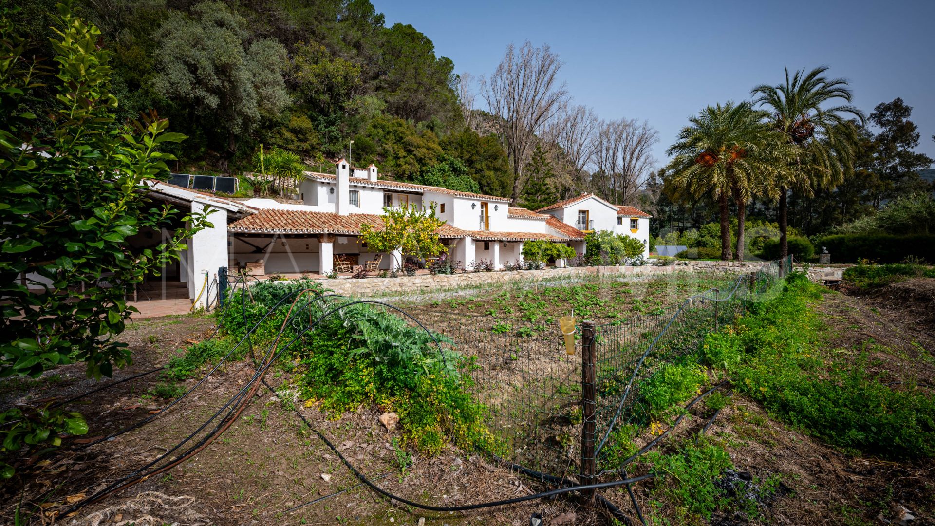 Bauernhaus for sale in Gaucin