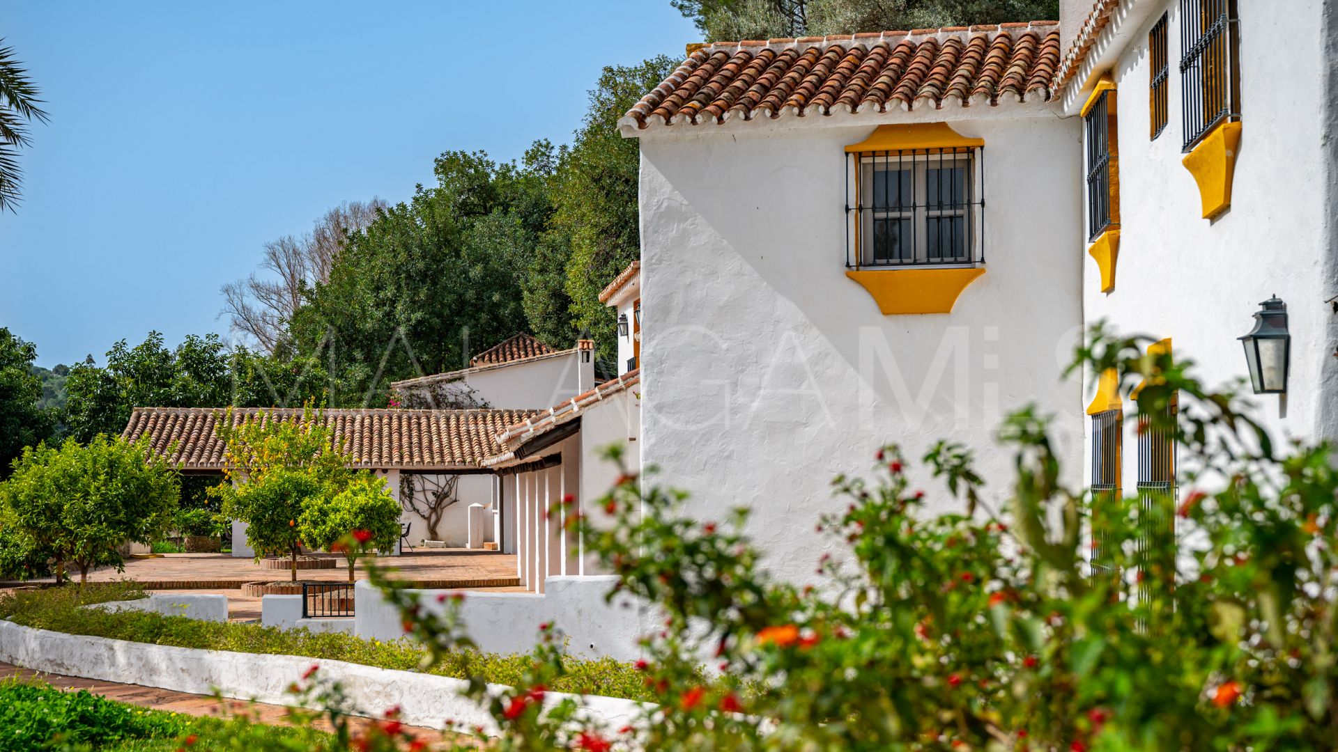 Bauernhaus for sale in Gaucin