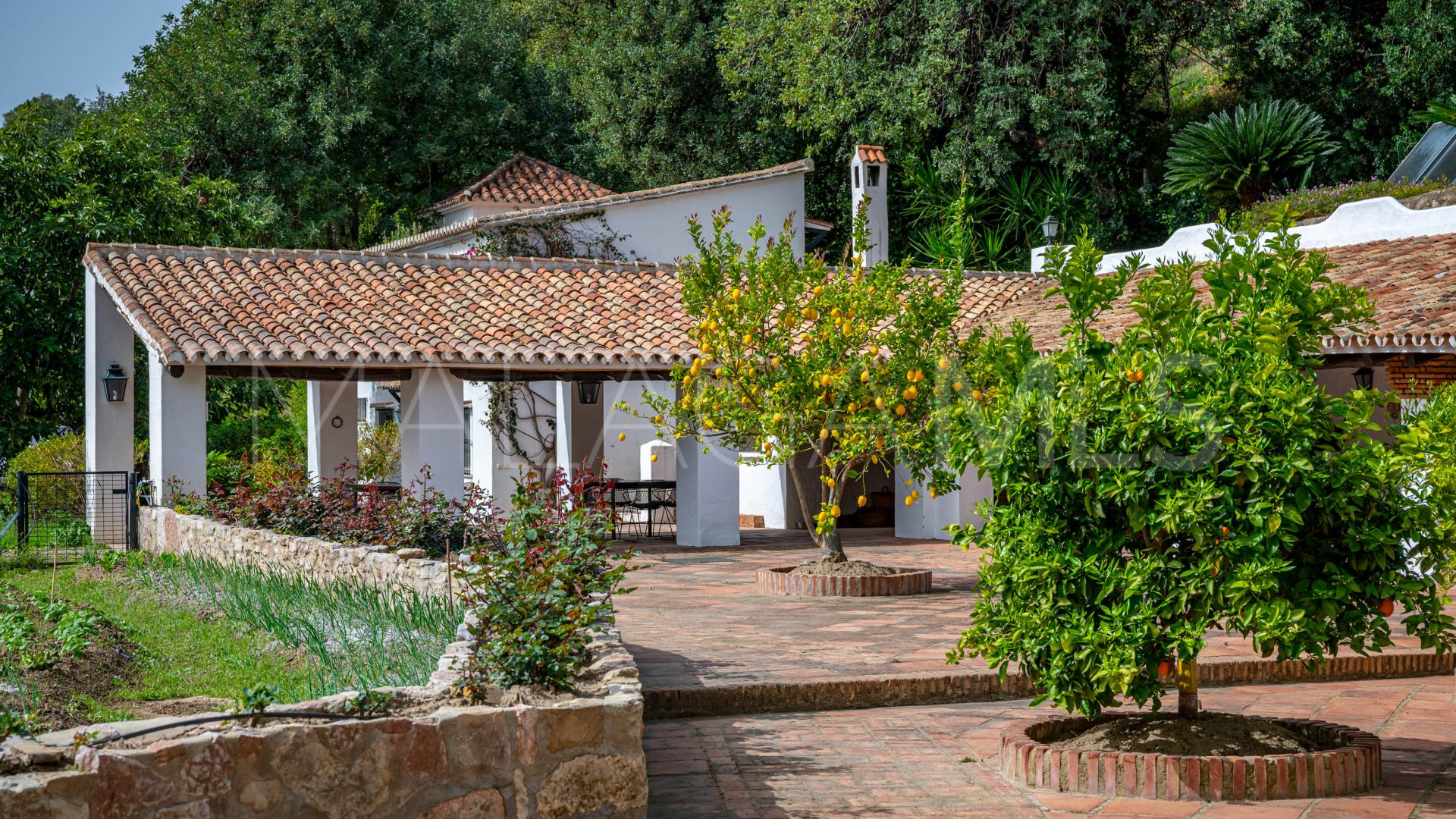 Bauernhaus for sale in Gaucin