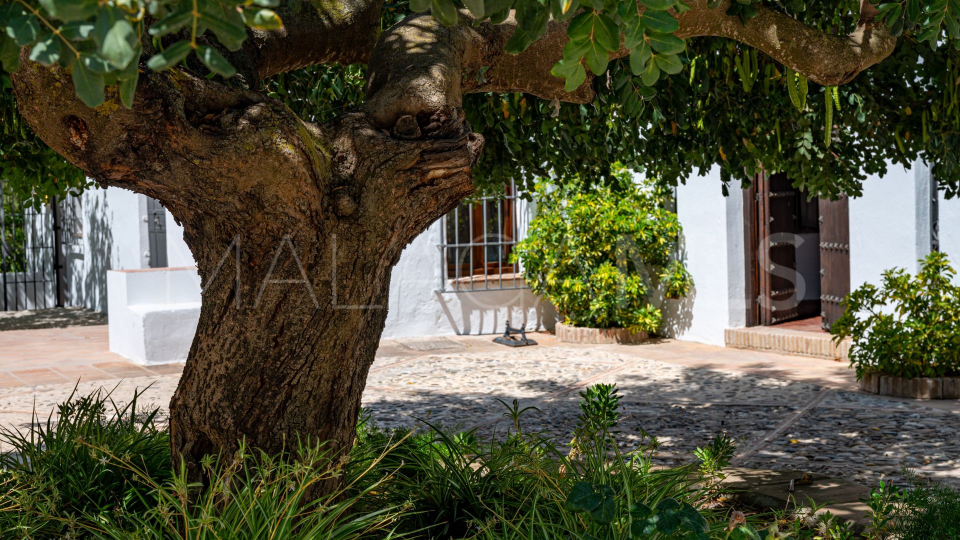 Cortijo for sale in Ronda