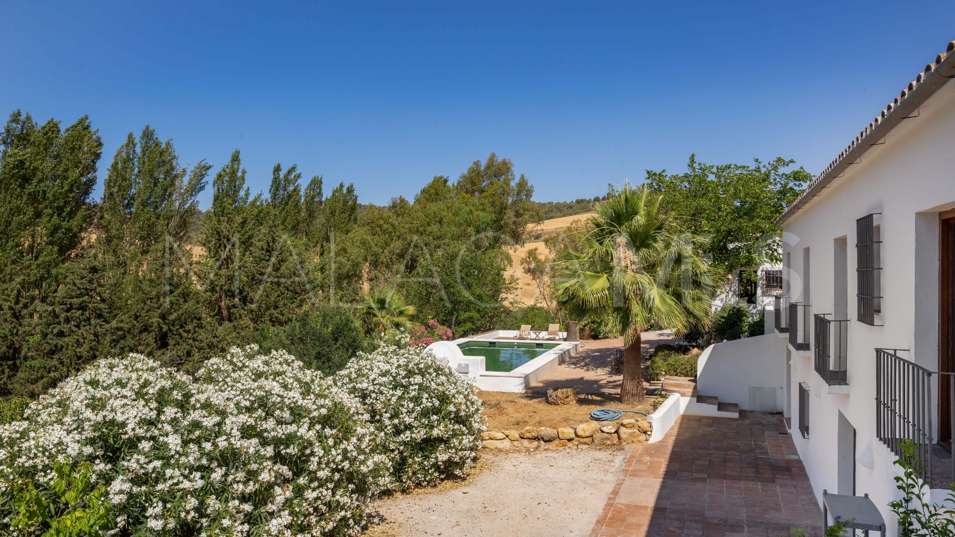 Cortijo for sale in Ronda