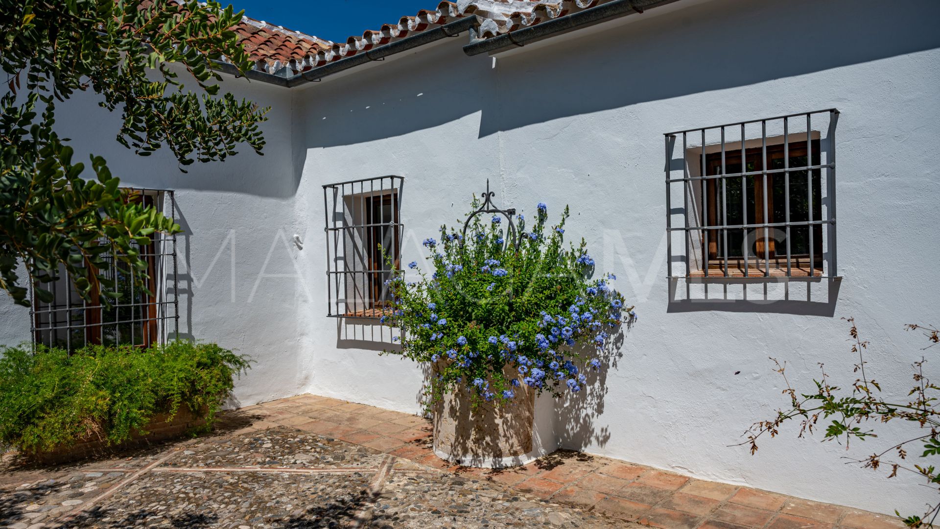 Cortijo for sale in Ronda